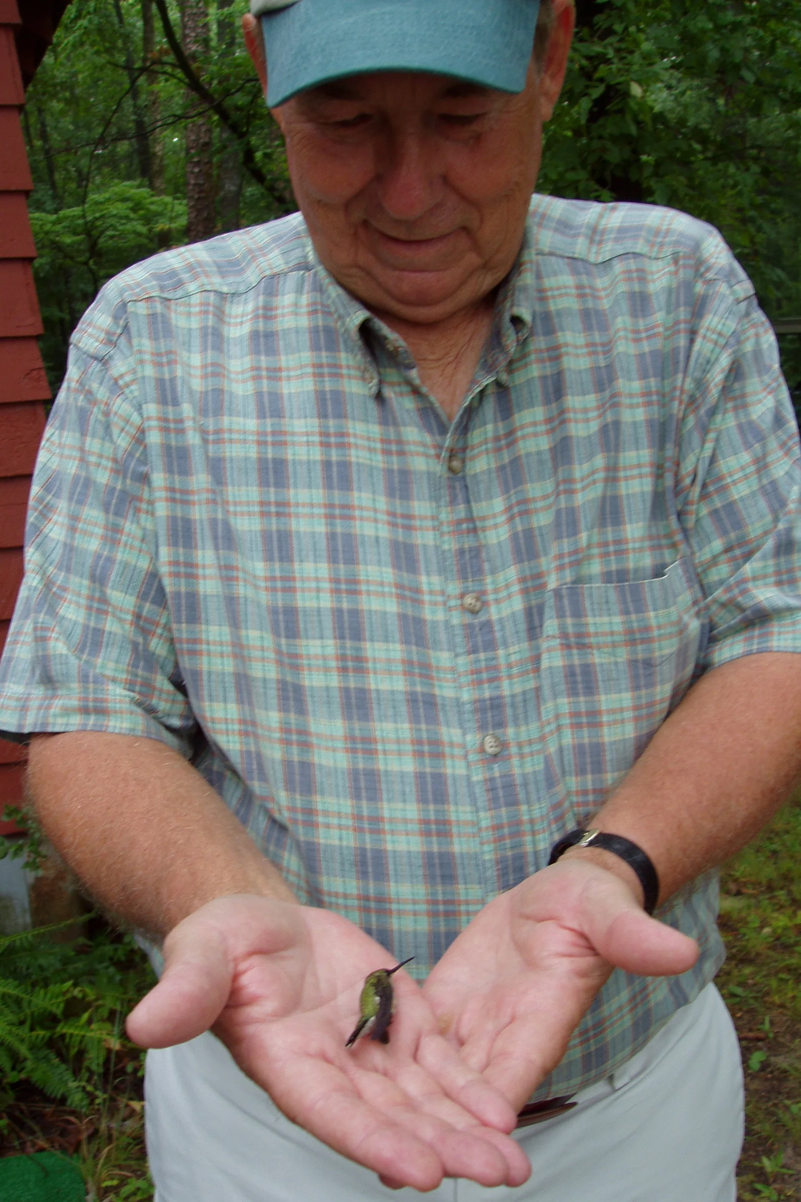 Jerry Barnoske releases a hummingbird