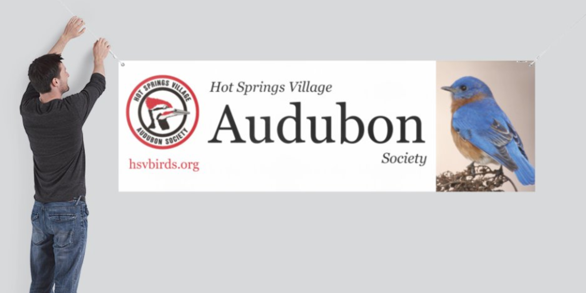 Audubon banner.png