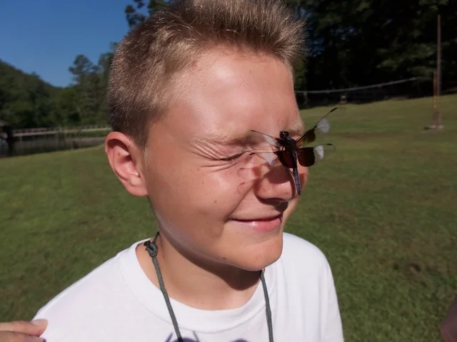 Eco camp boy bug1.jpeg