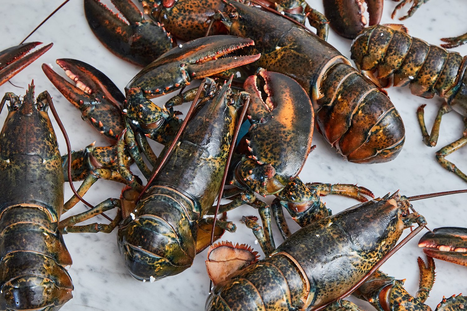 How-To-Cook-Lobster-Saveur-11.jpg