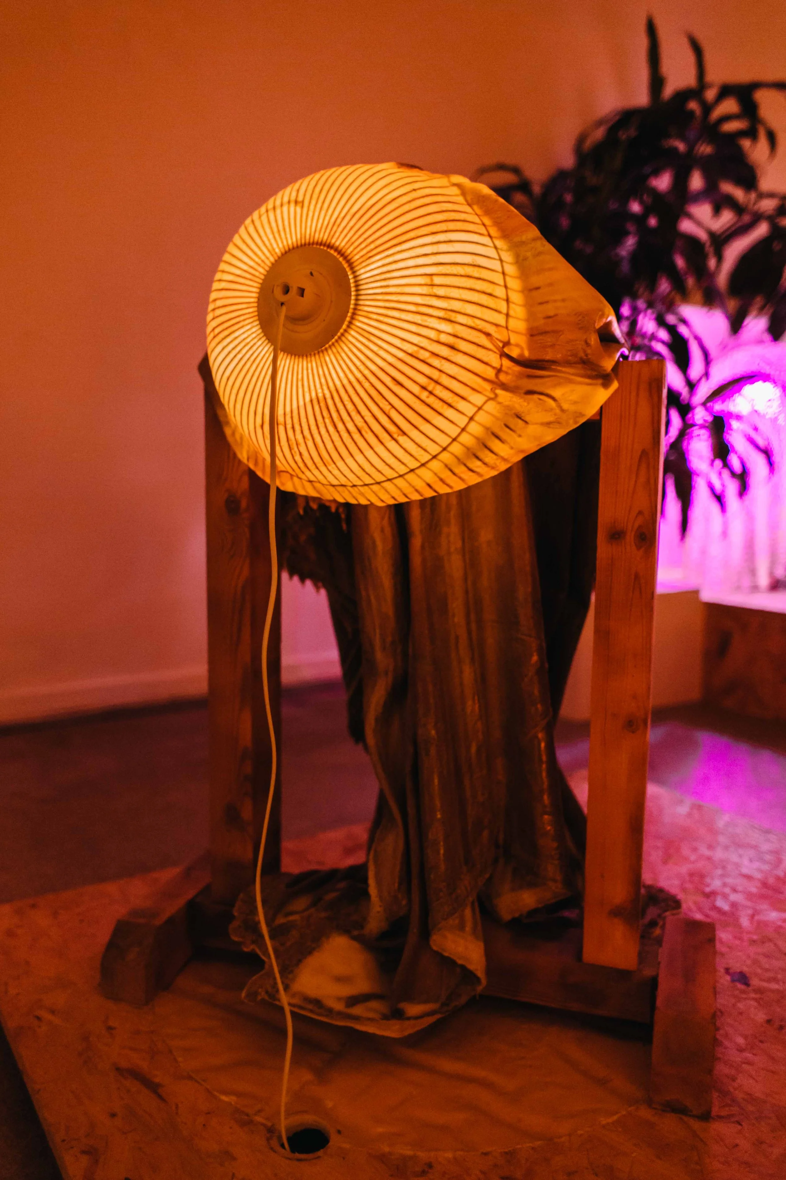 LR_PieterDeClercq_©LeontienAllemeersch_150.jpg
