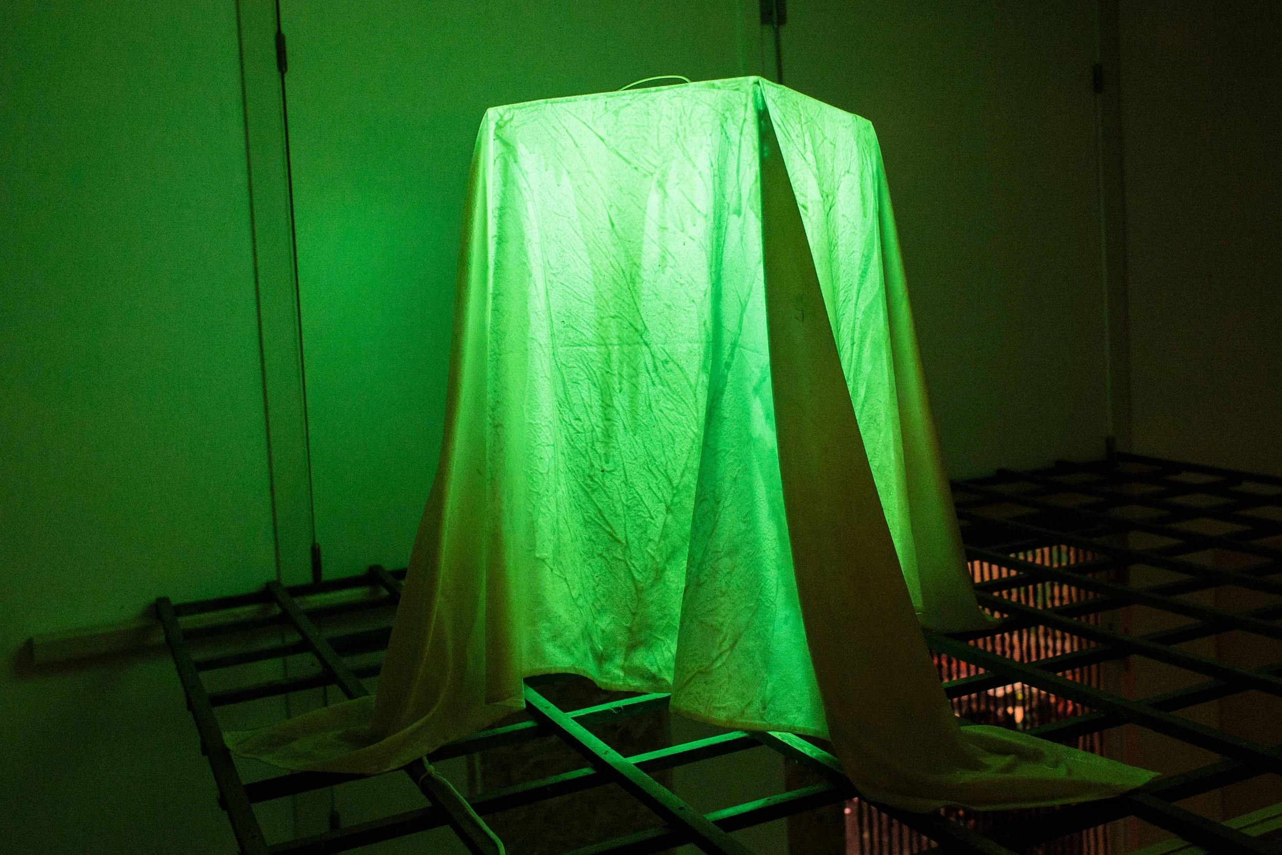 LR_PieterDeClercq_©LeontienAllemeersch_207.jpg