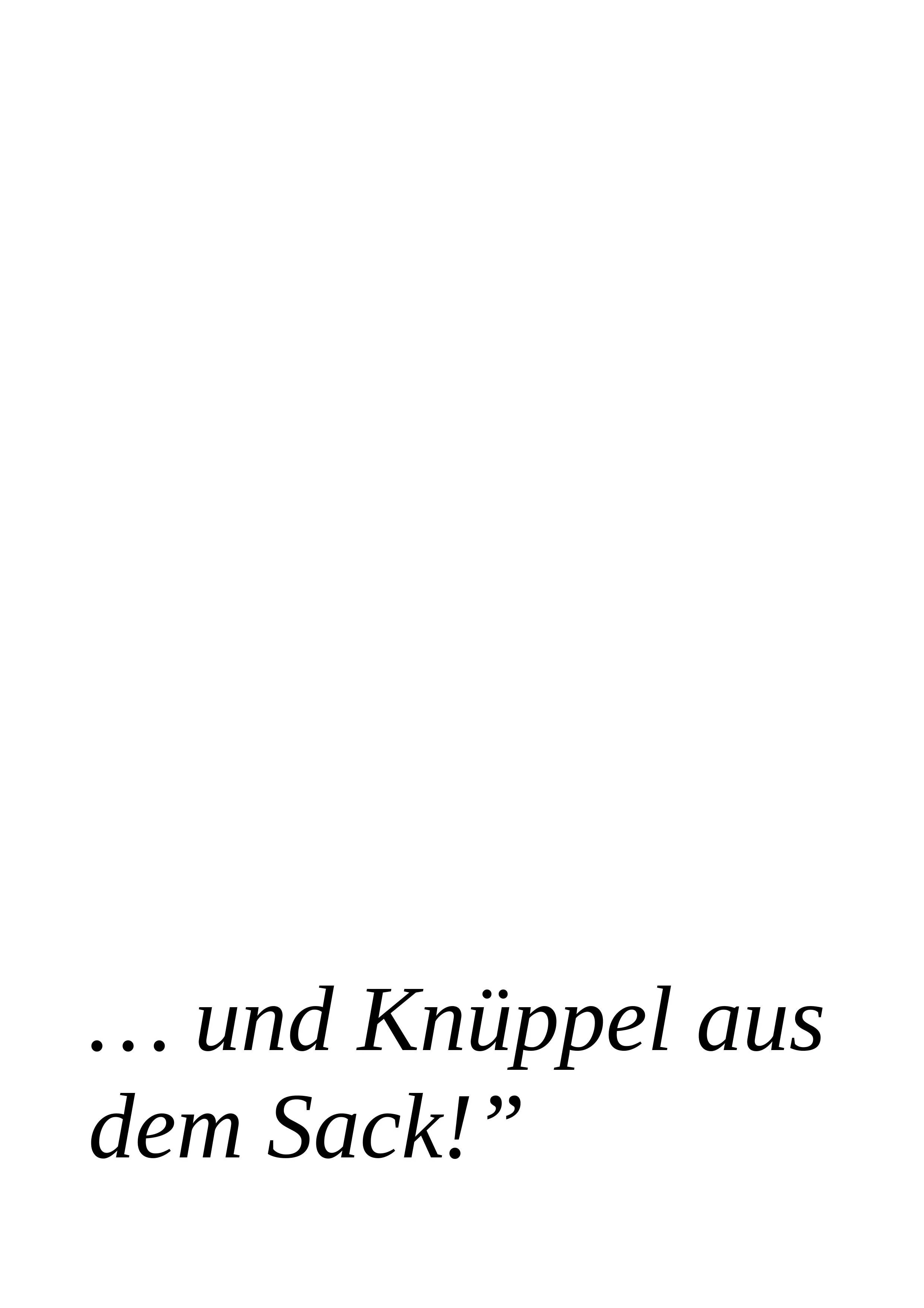 und knüppel aus dem sack.jpg