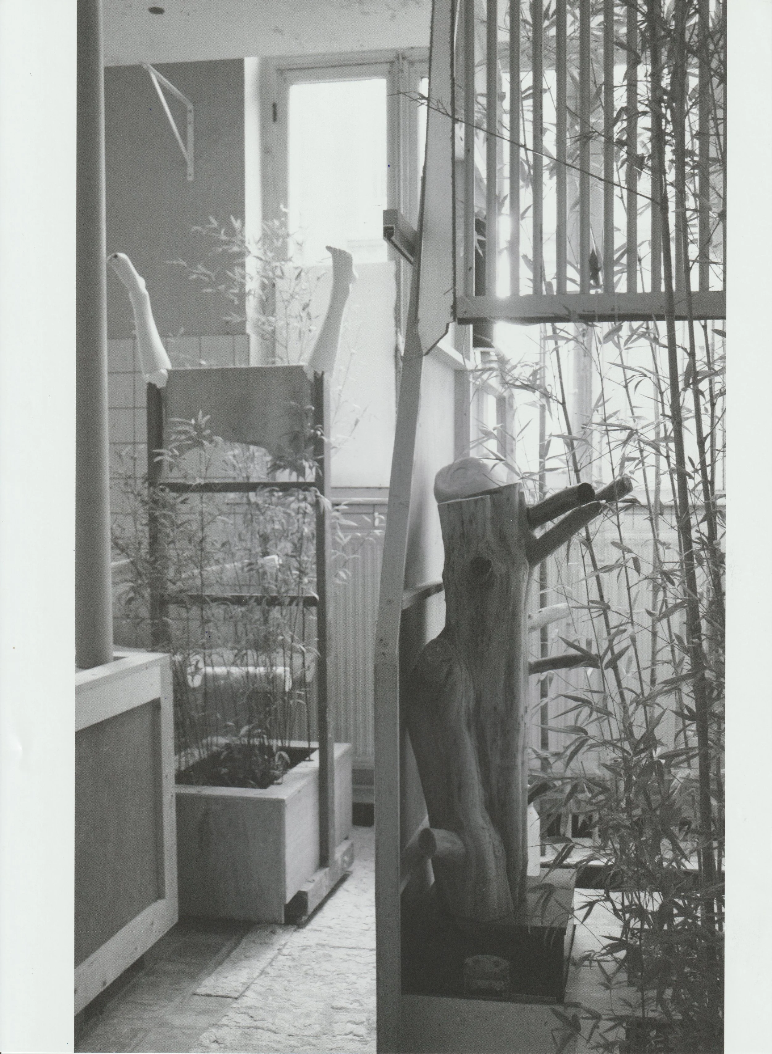 E D I E T re refurbished  6.jpeg