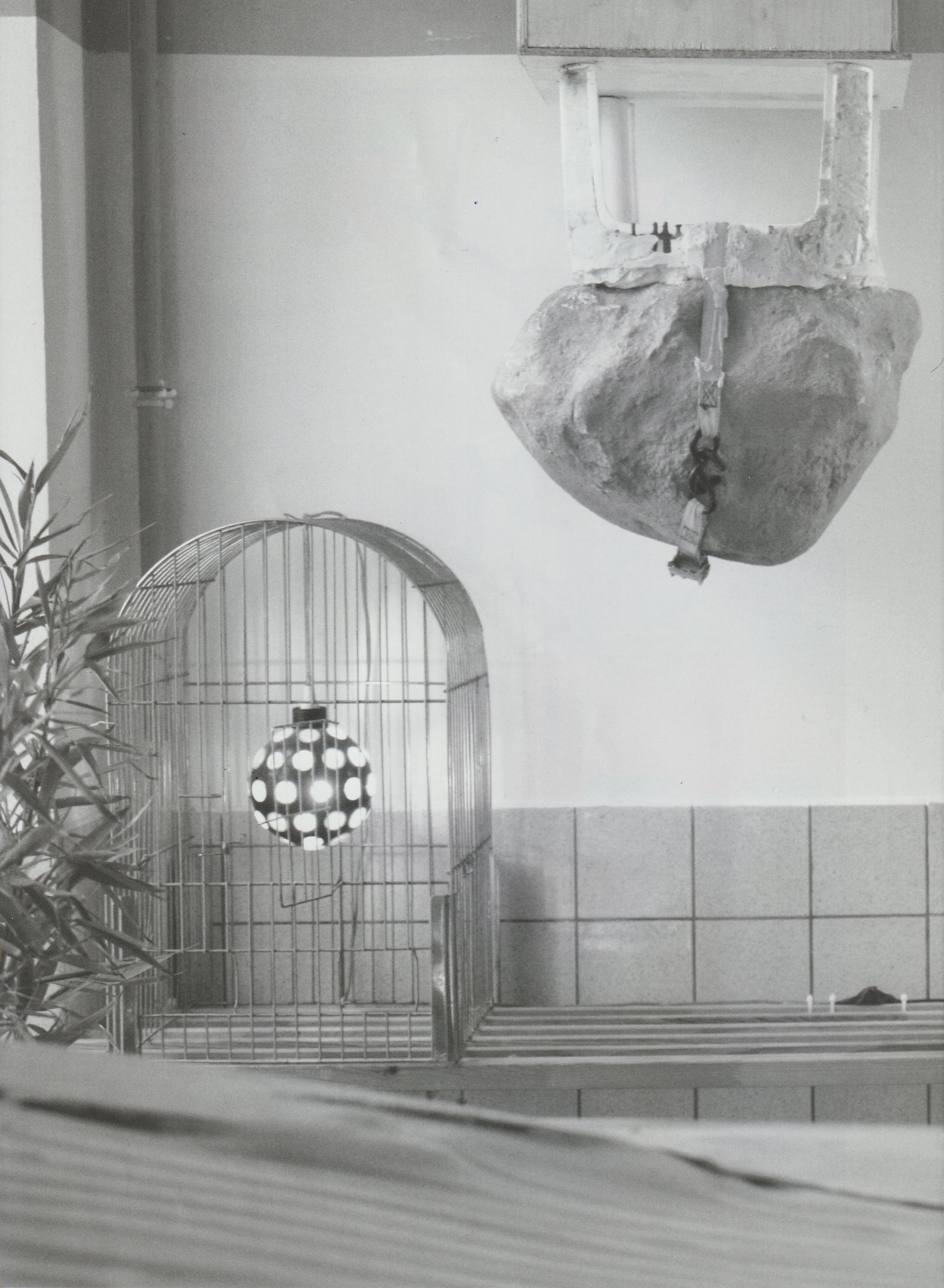 E D I E T re refurbished  7.jpeg