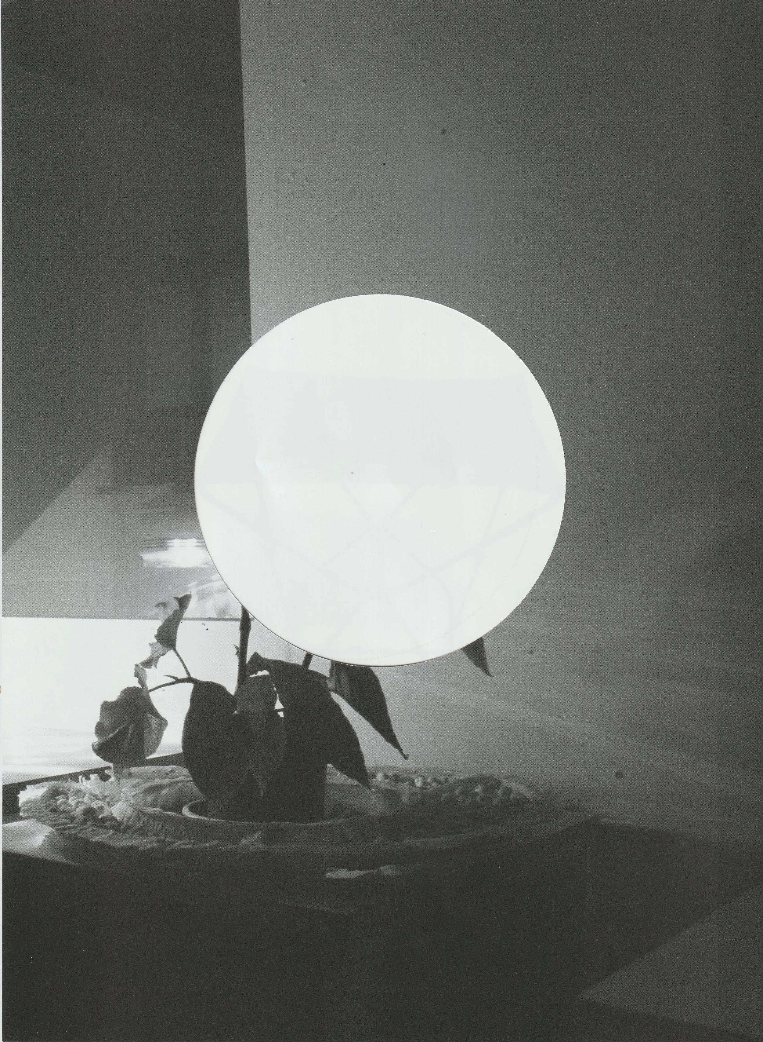 E D I E T re refurbished  14.jpeg