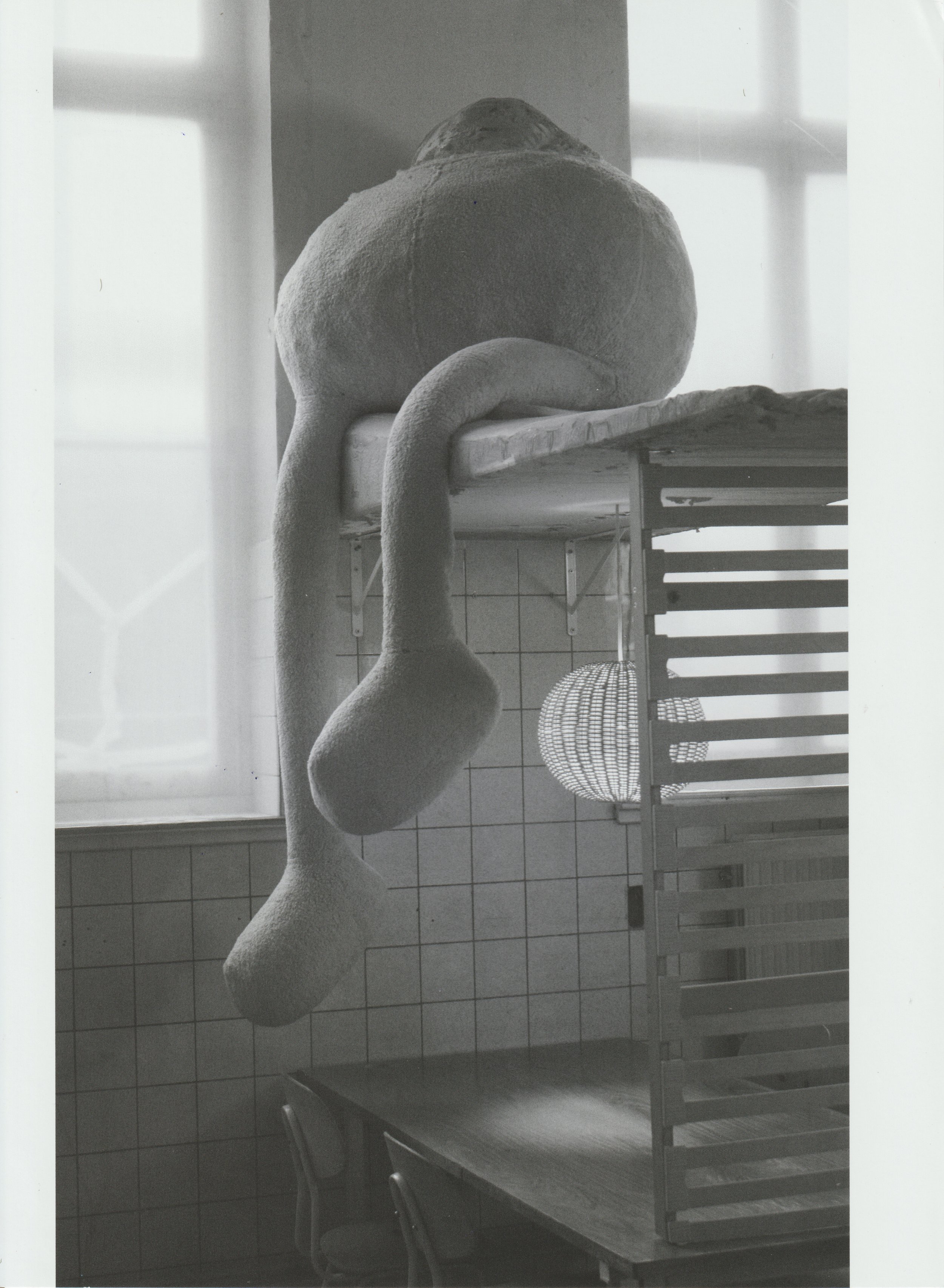 E D I E T re refurbished  19.jpeg