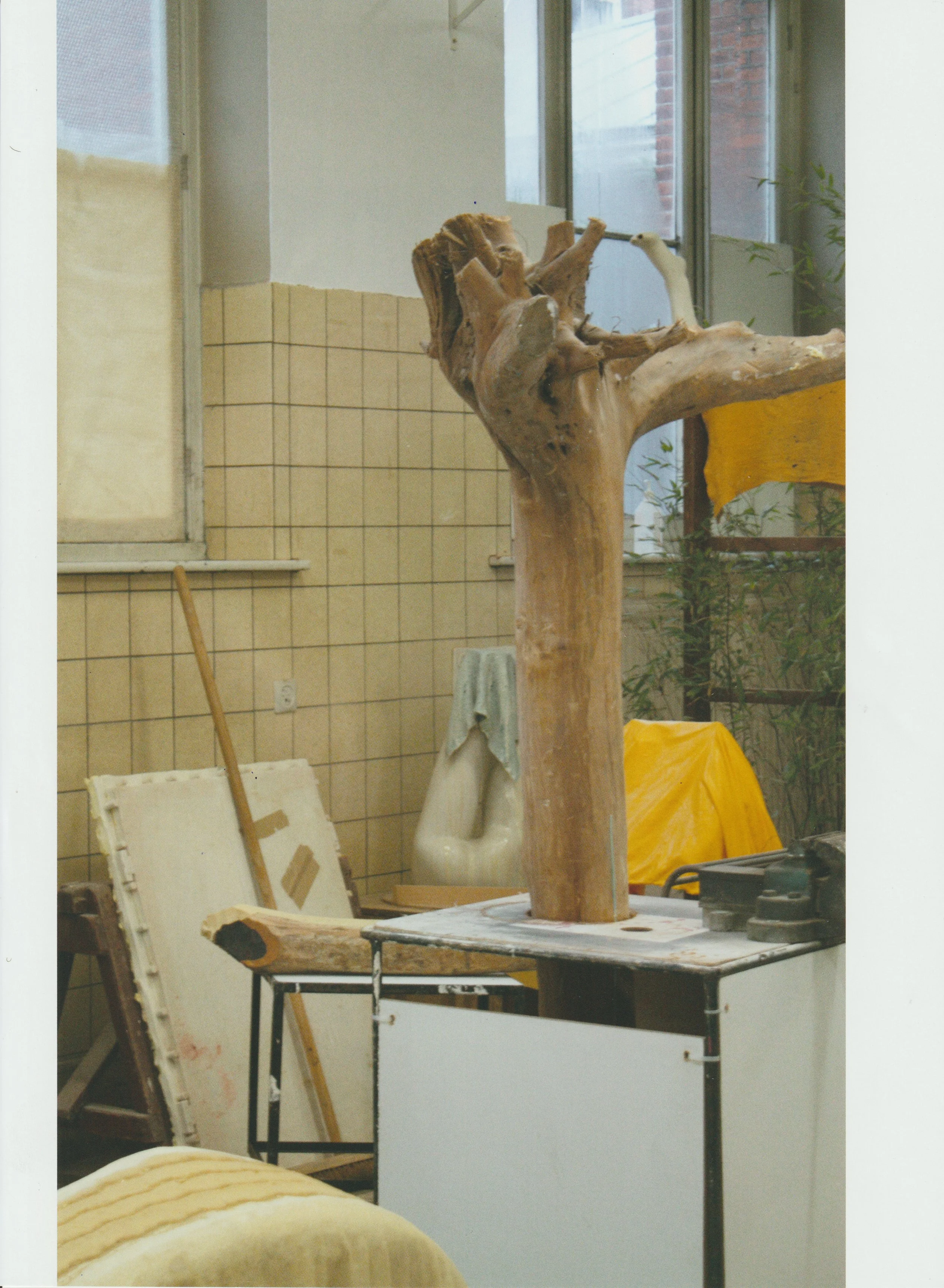 E D I E T re refurbished  33.jpeg