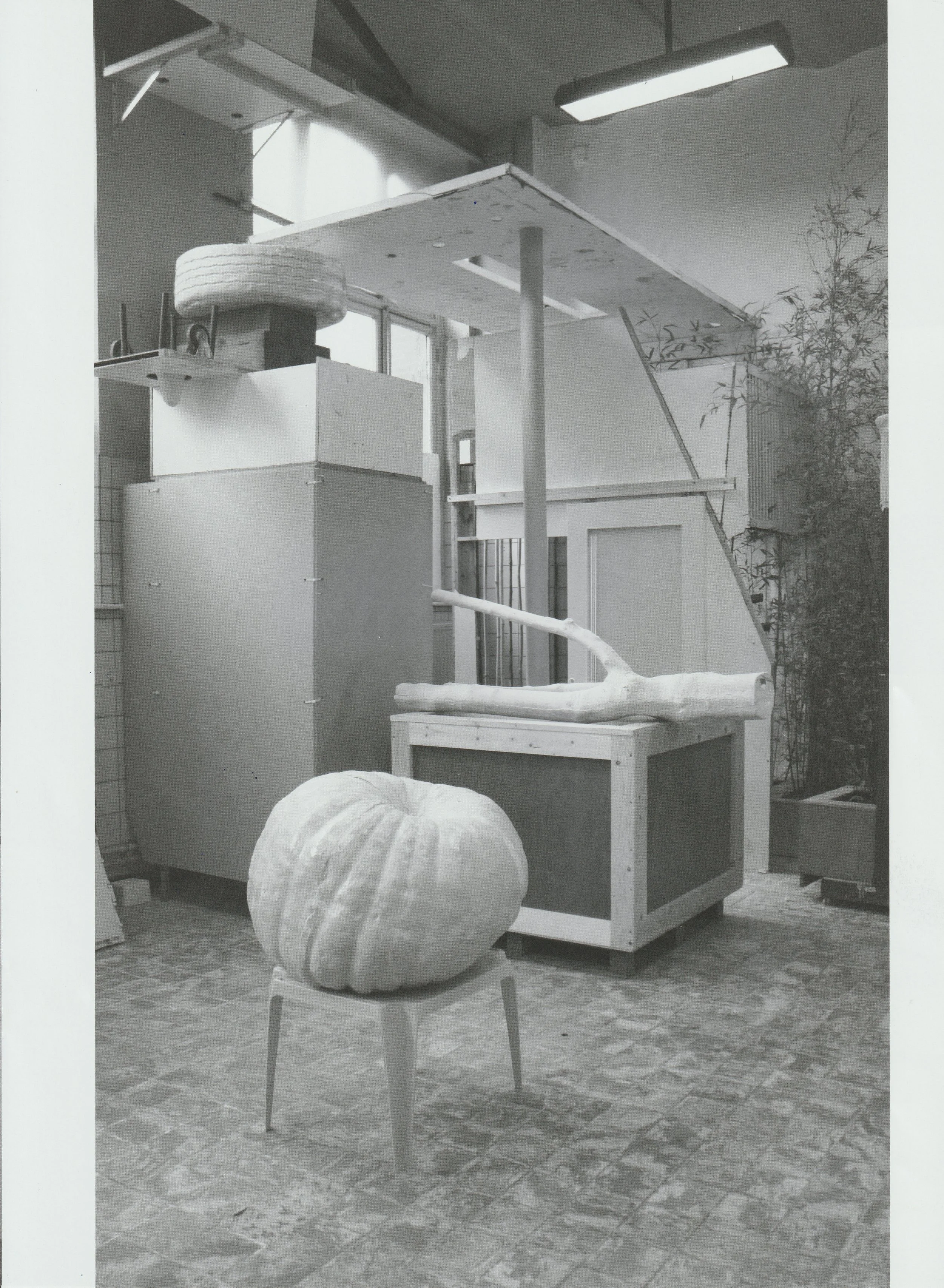 E D I E T re refurbished  45.jpeg