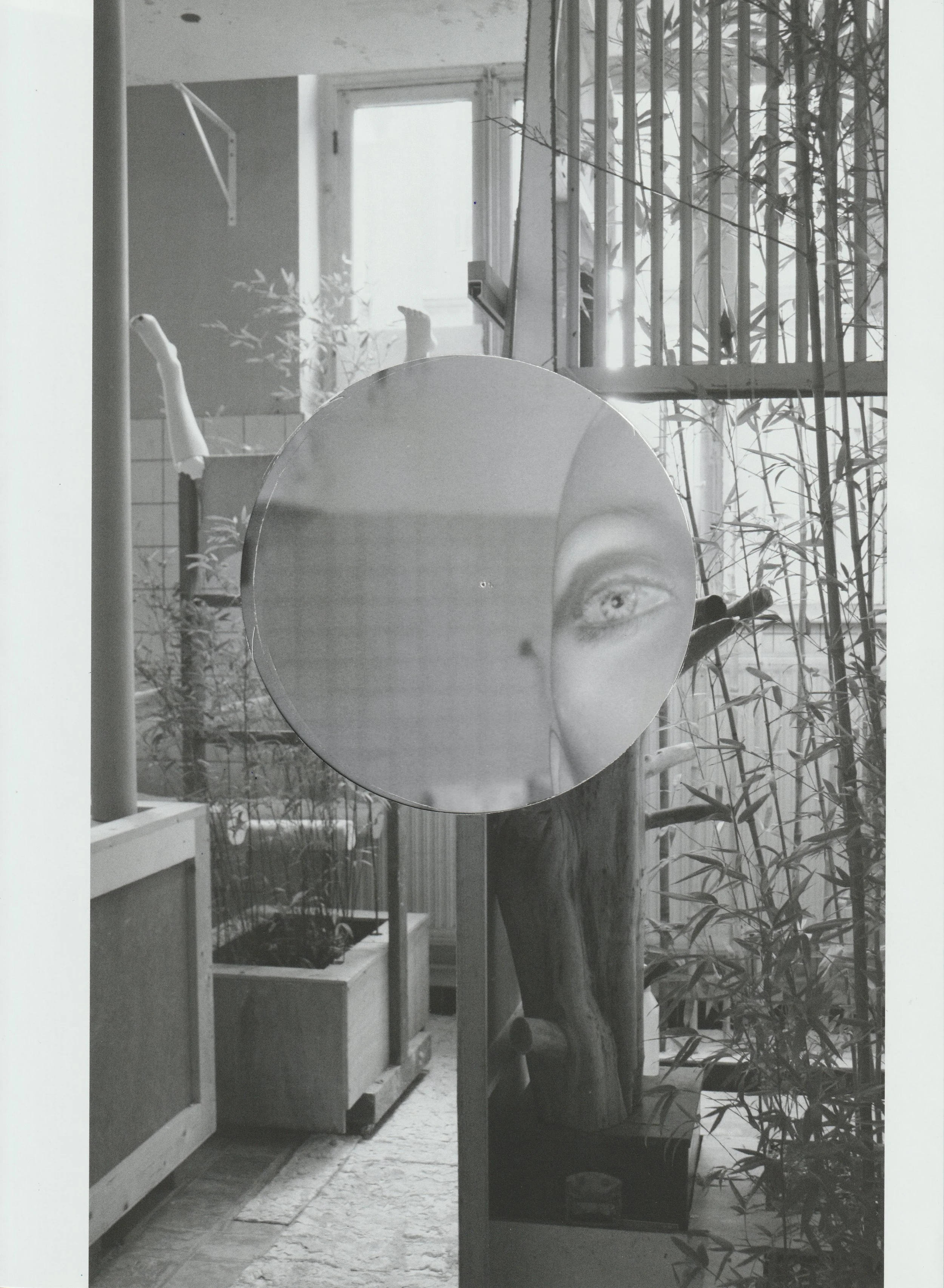 E D I E T re refurbished  53.jpeg