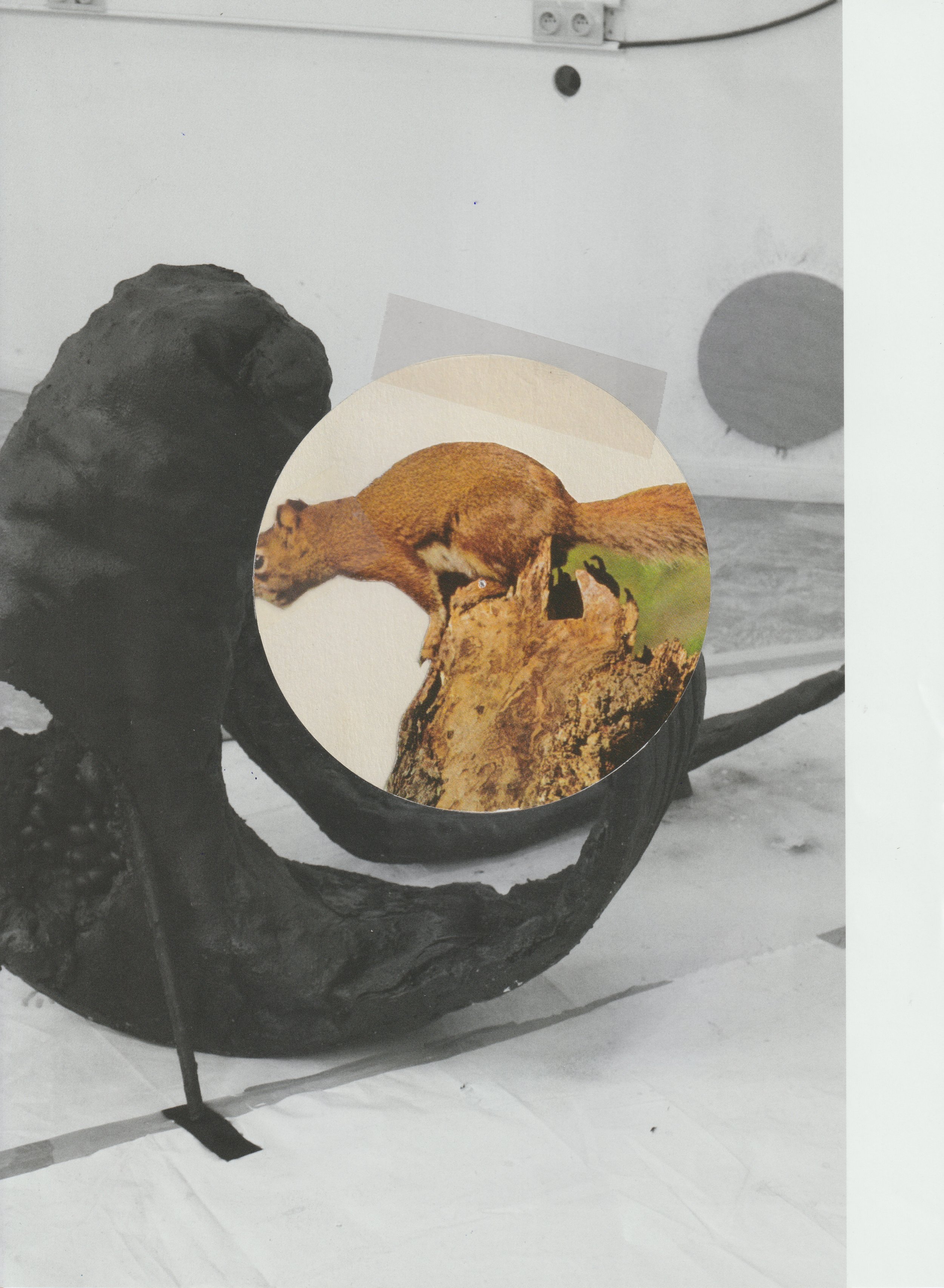 E D I E T re refurbished  58.jpeg