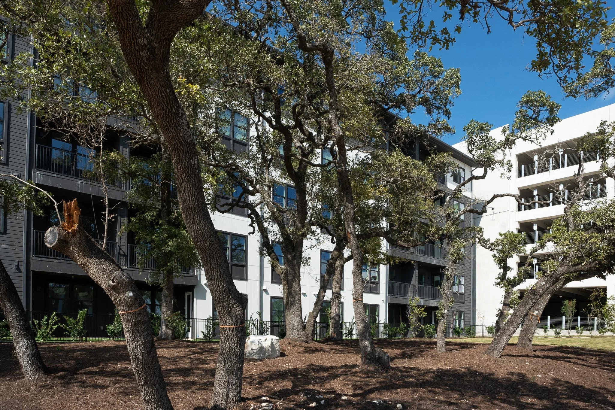 MF LR-20043-Carrington at Oak Hill-Austin Vega 2-Small-10.jpg