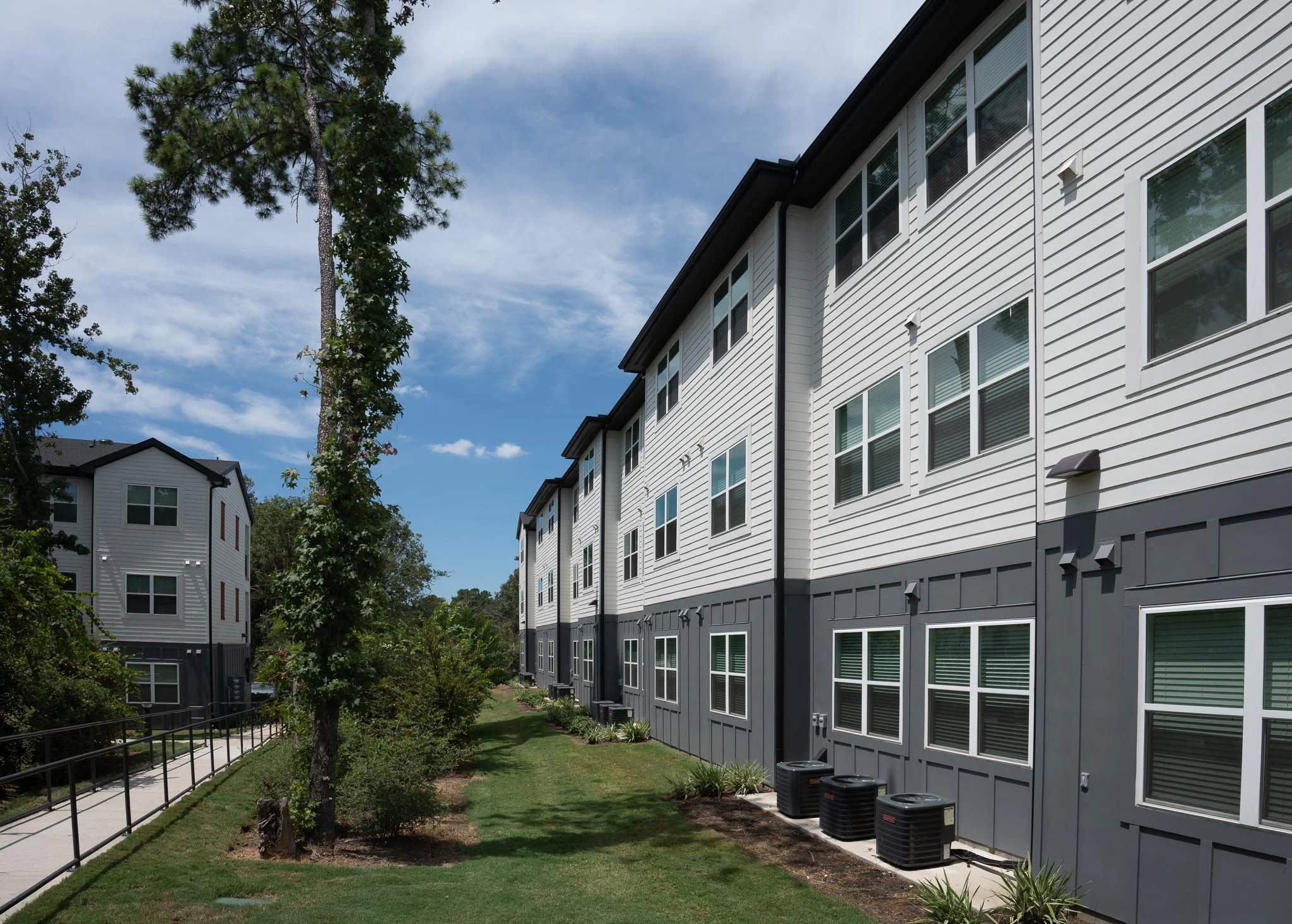 MF LR-21047-Prose in the Pines-Small-10.jpg