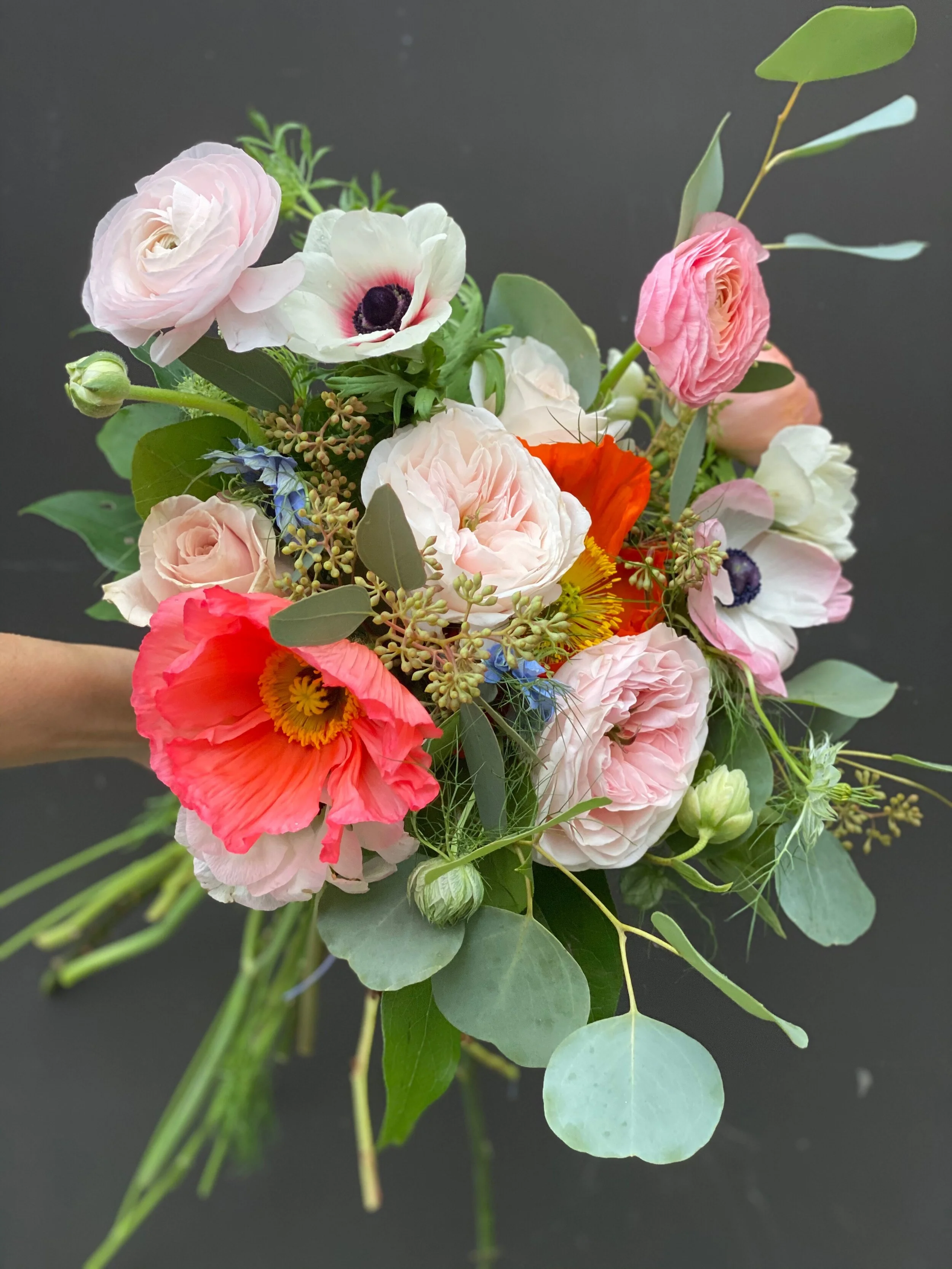 7F8508F7-098D-44D3-92F0-44D7D8918B16