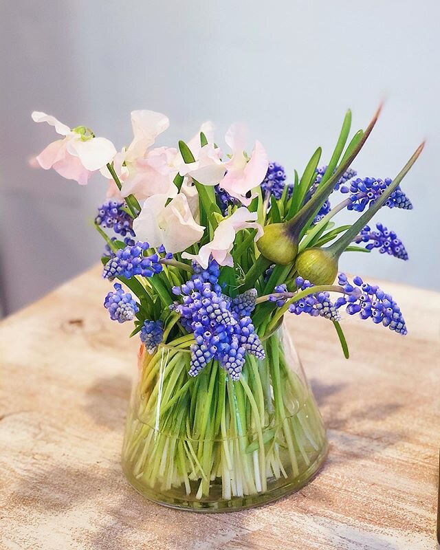 delicate shades of pink, green, and blue: sweet pea, allium, and new favorite muscari. 🥰