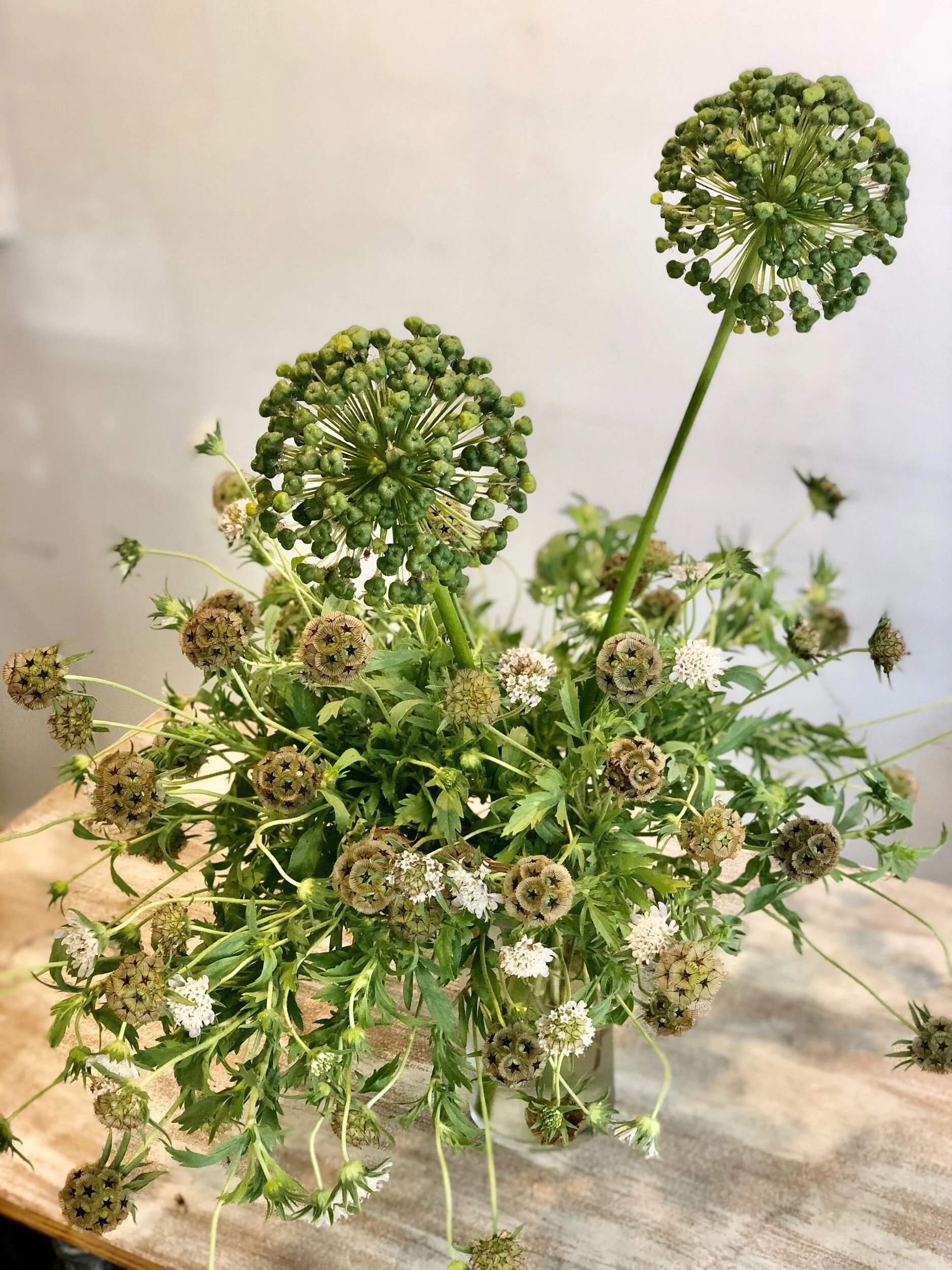 3079A878-6145-4552-BB7F-1674B46B06BB