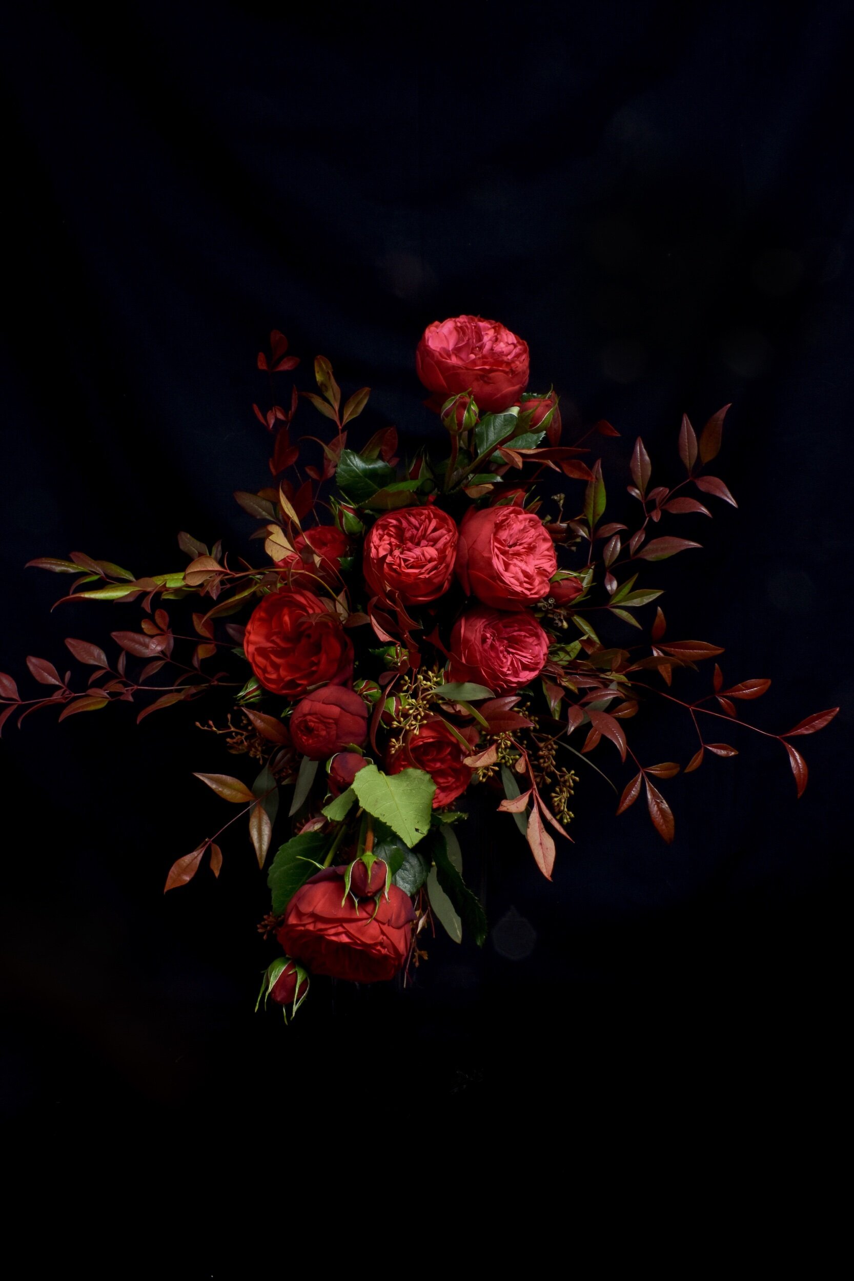 51993BBD-8BB1-42D1-BD0C-C8A7CE48D813