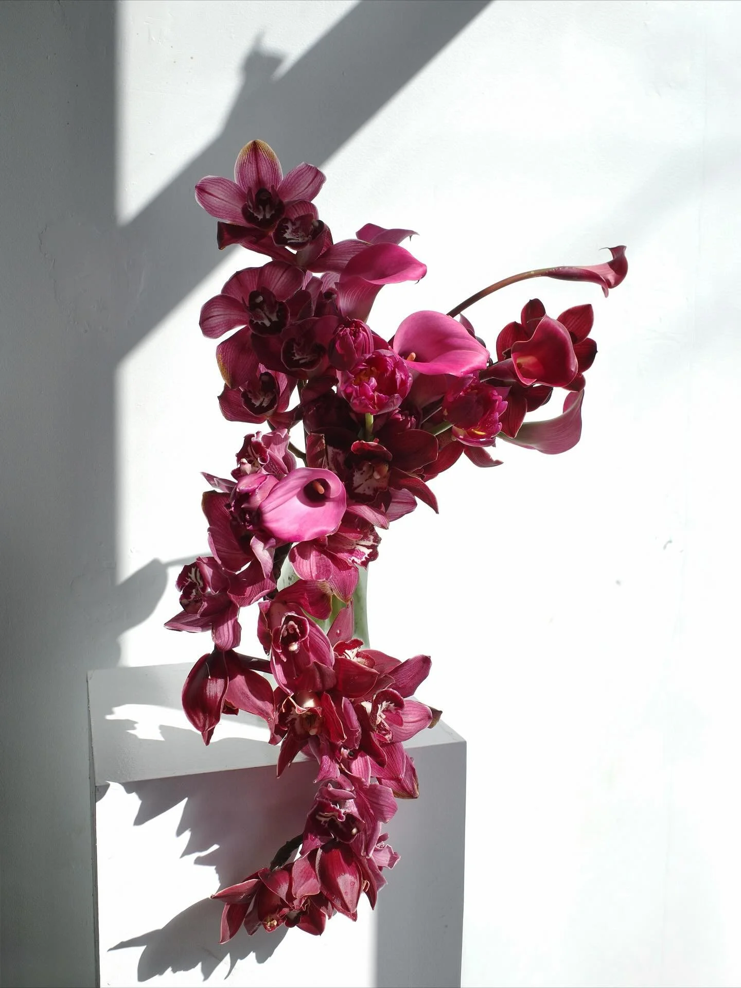 cascading cymbidium &amp; calla in deep berry tones, one of our favorite fall moments