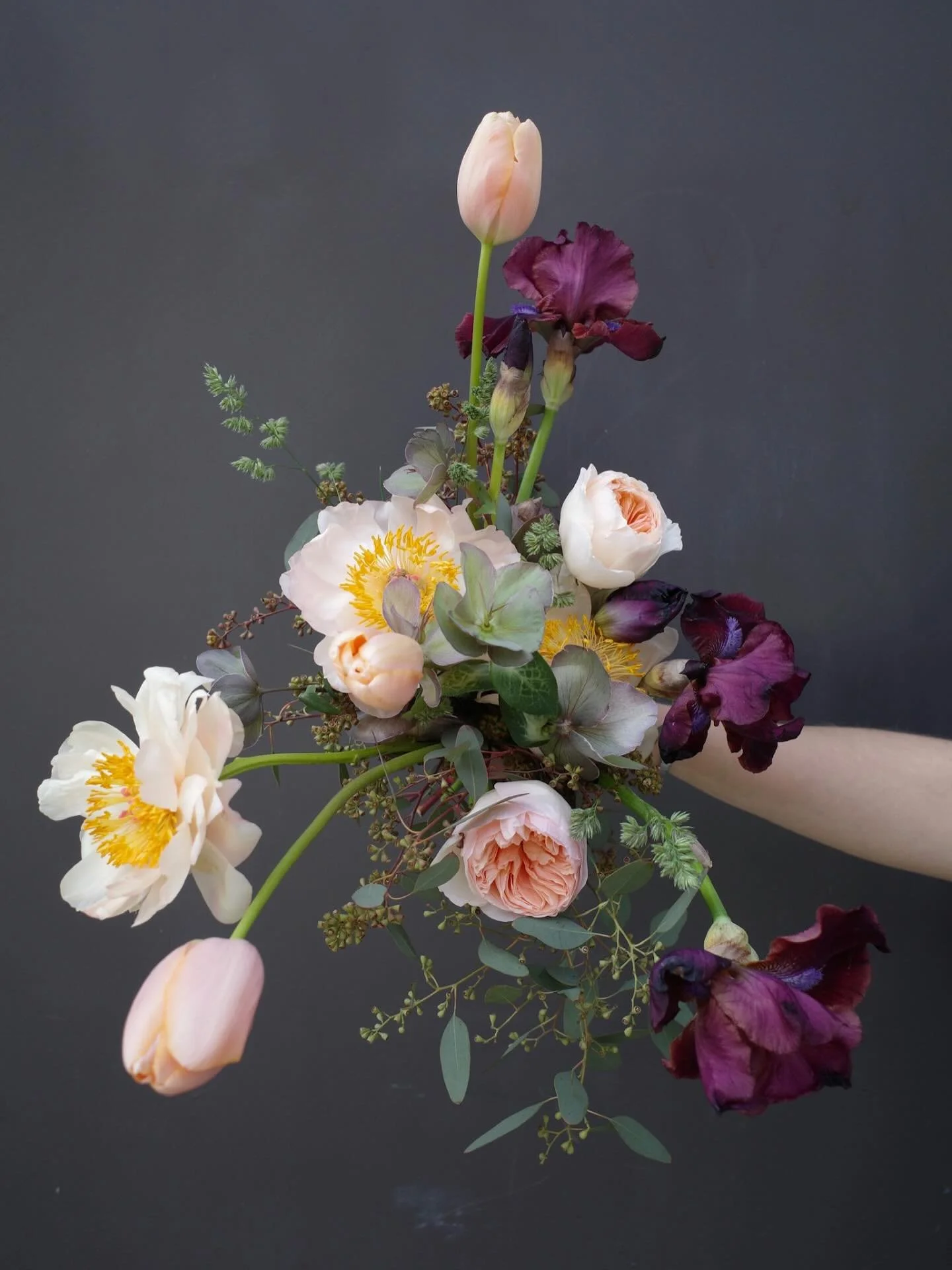 bold and delicate