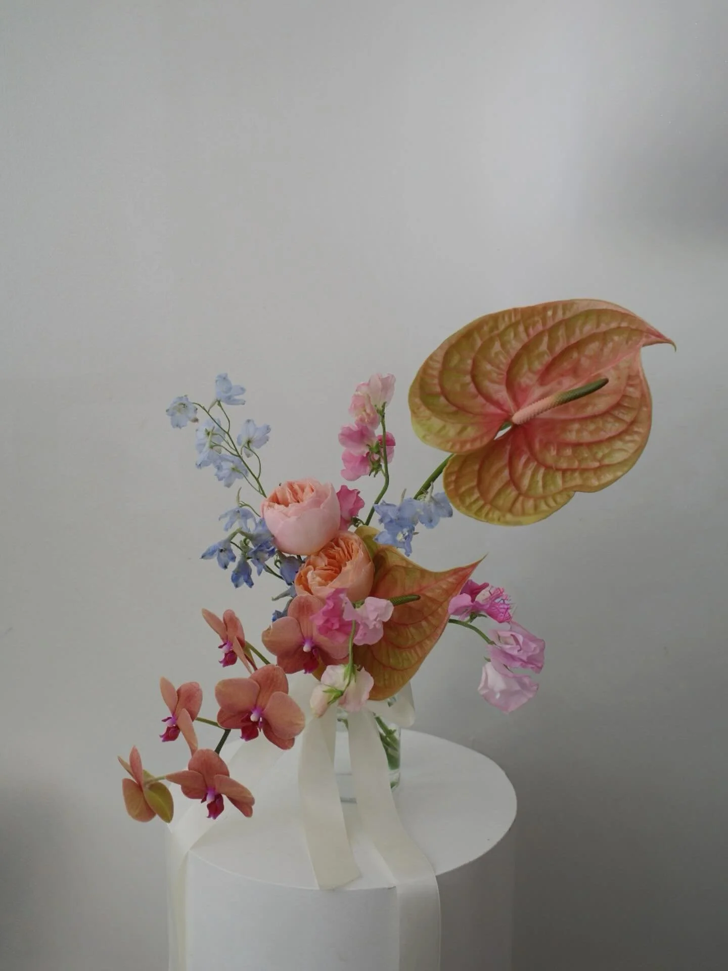 a study in contrasts: soft petals + sculptural anthurium