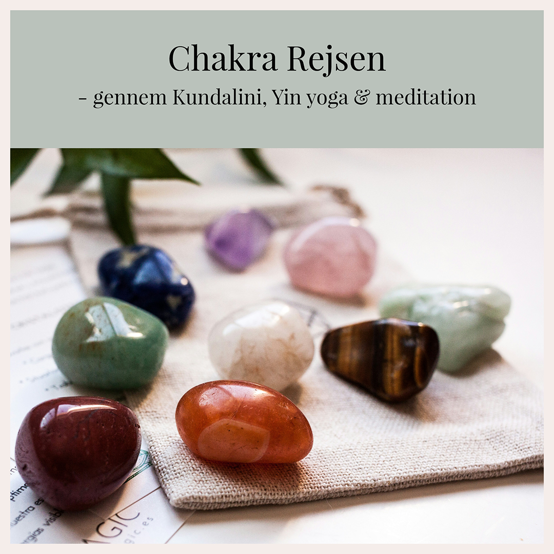 Chakra rejsen