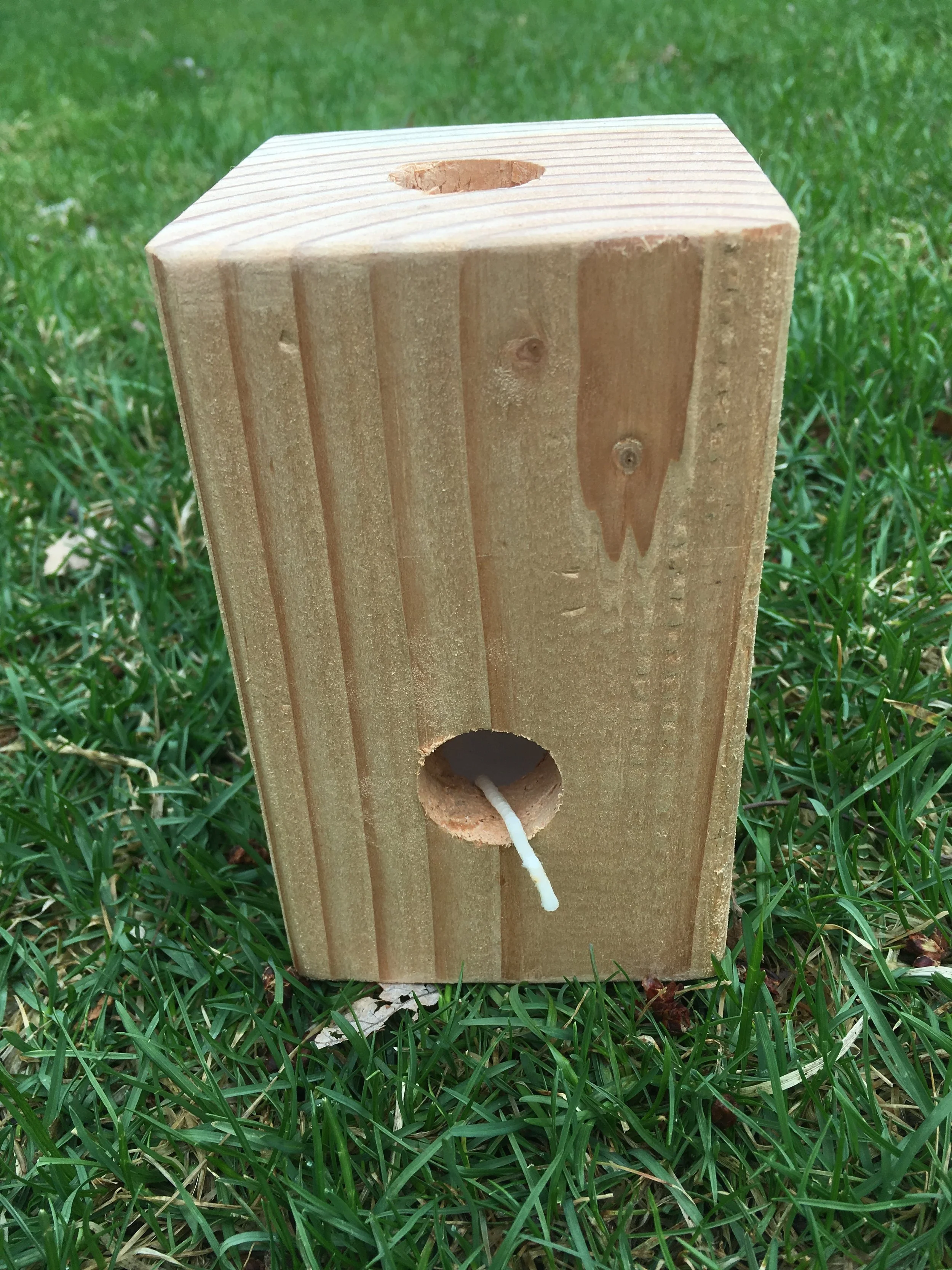 File Apr 15, 12 15 44 PM.jpeg