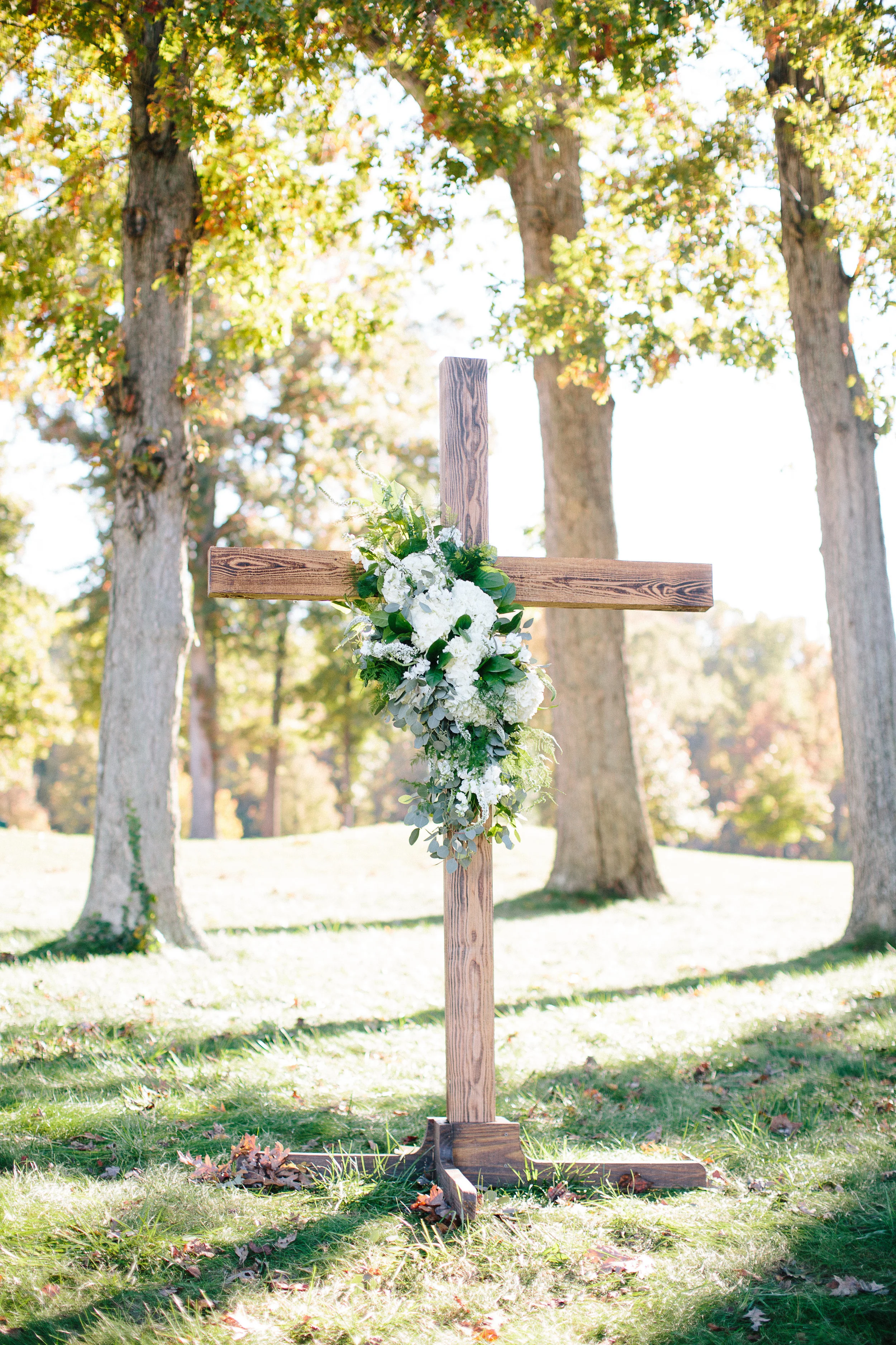Robyn VanDyke Photography