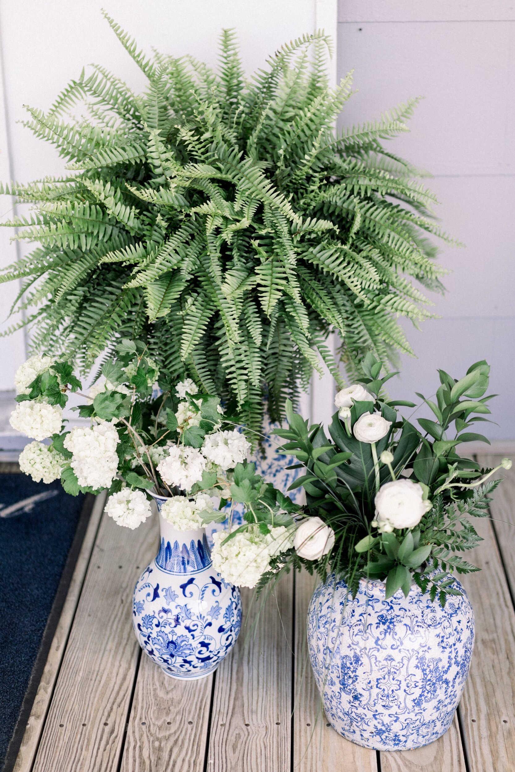 Treebird Photography