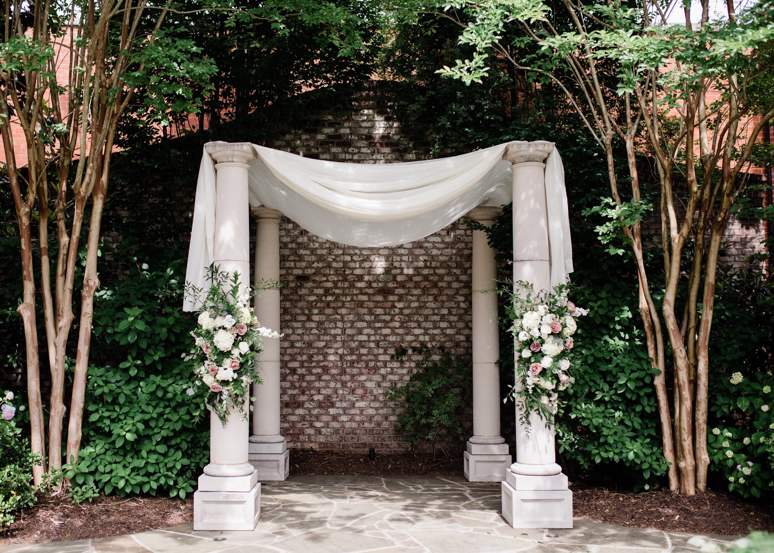 Lily and Vine Photography