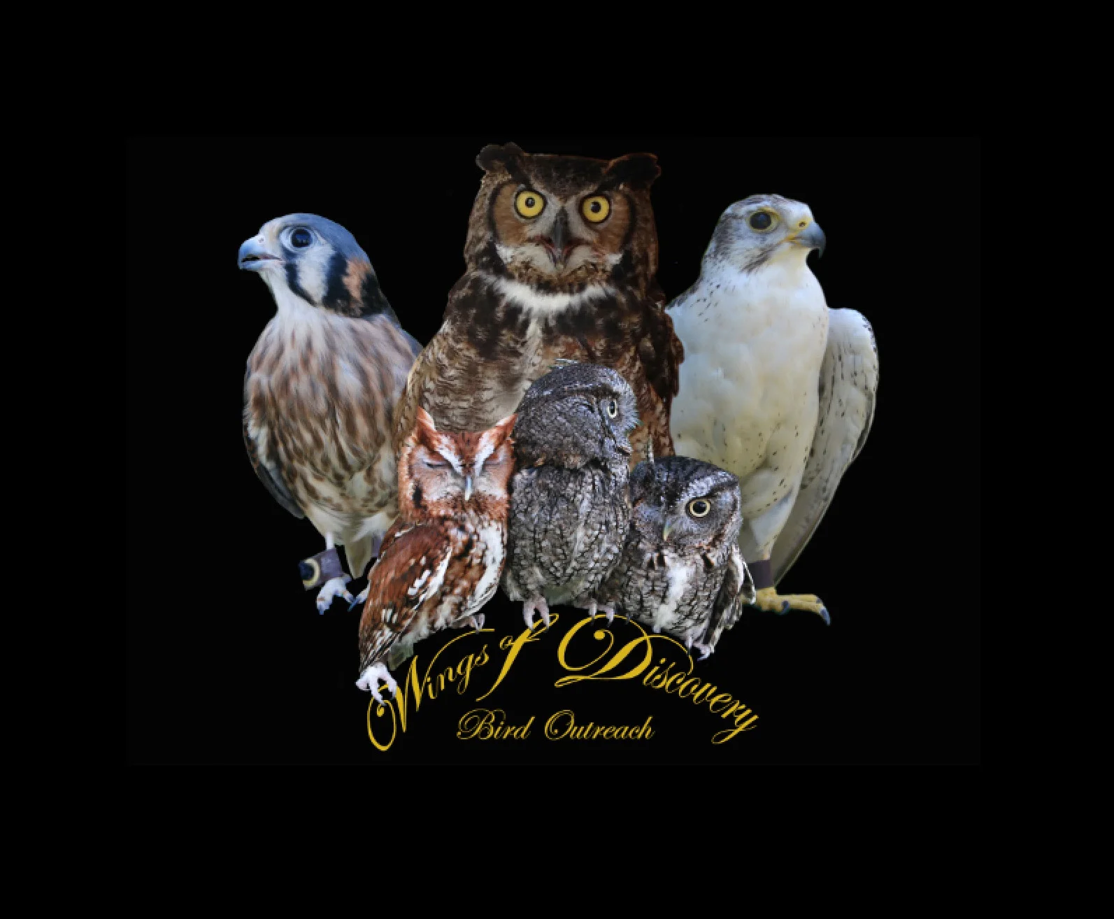 WofD Shirt Image Small.jpg