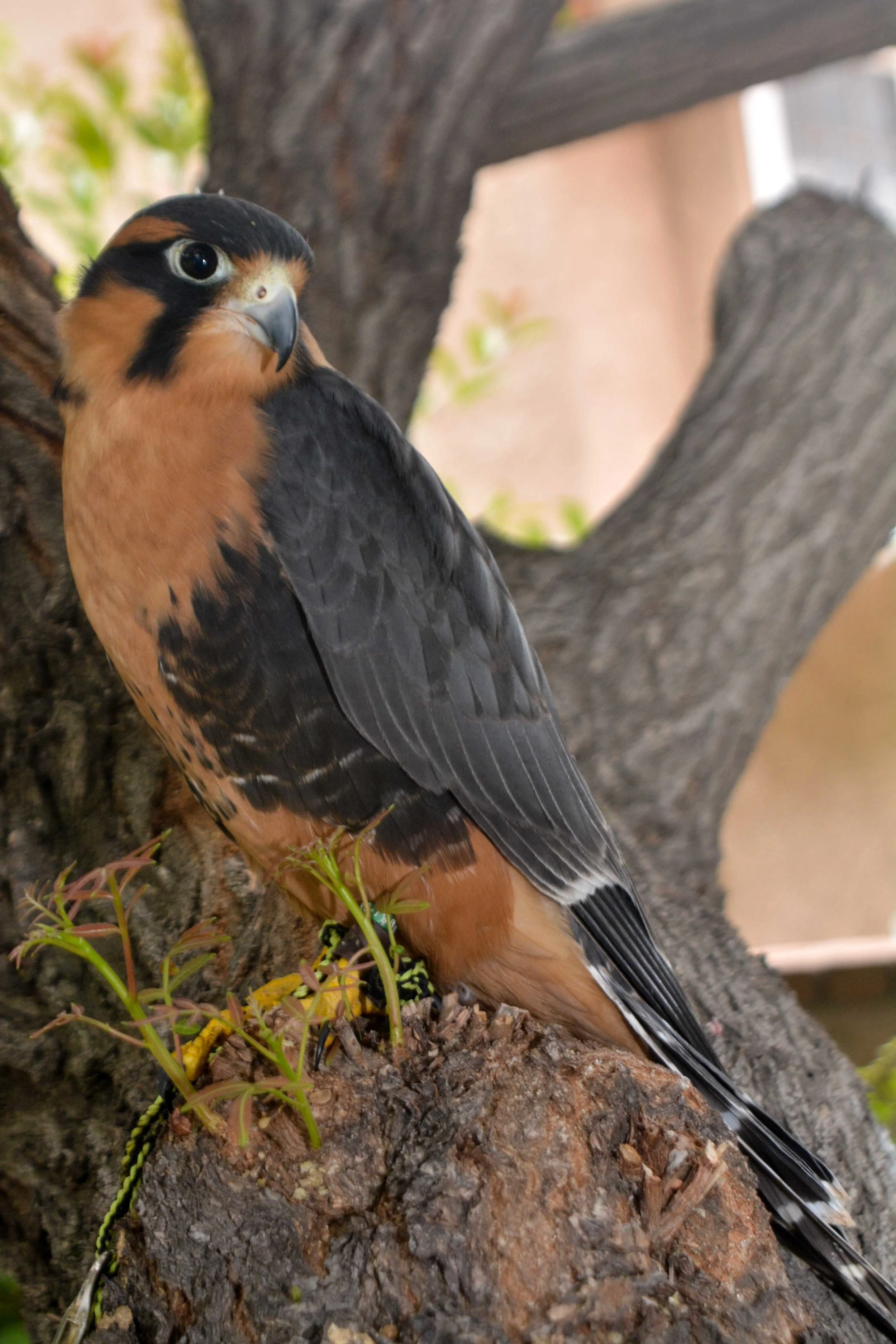 DSC_3692.jpg