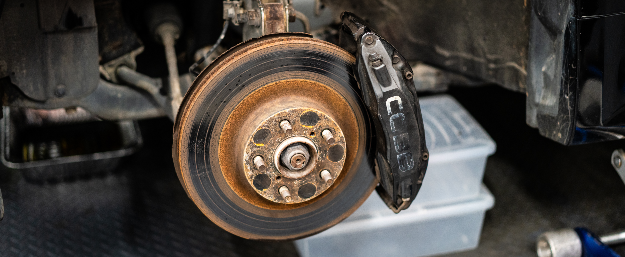 03-cobb-caliper-on.jpg