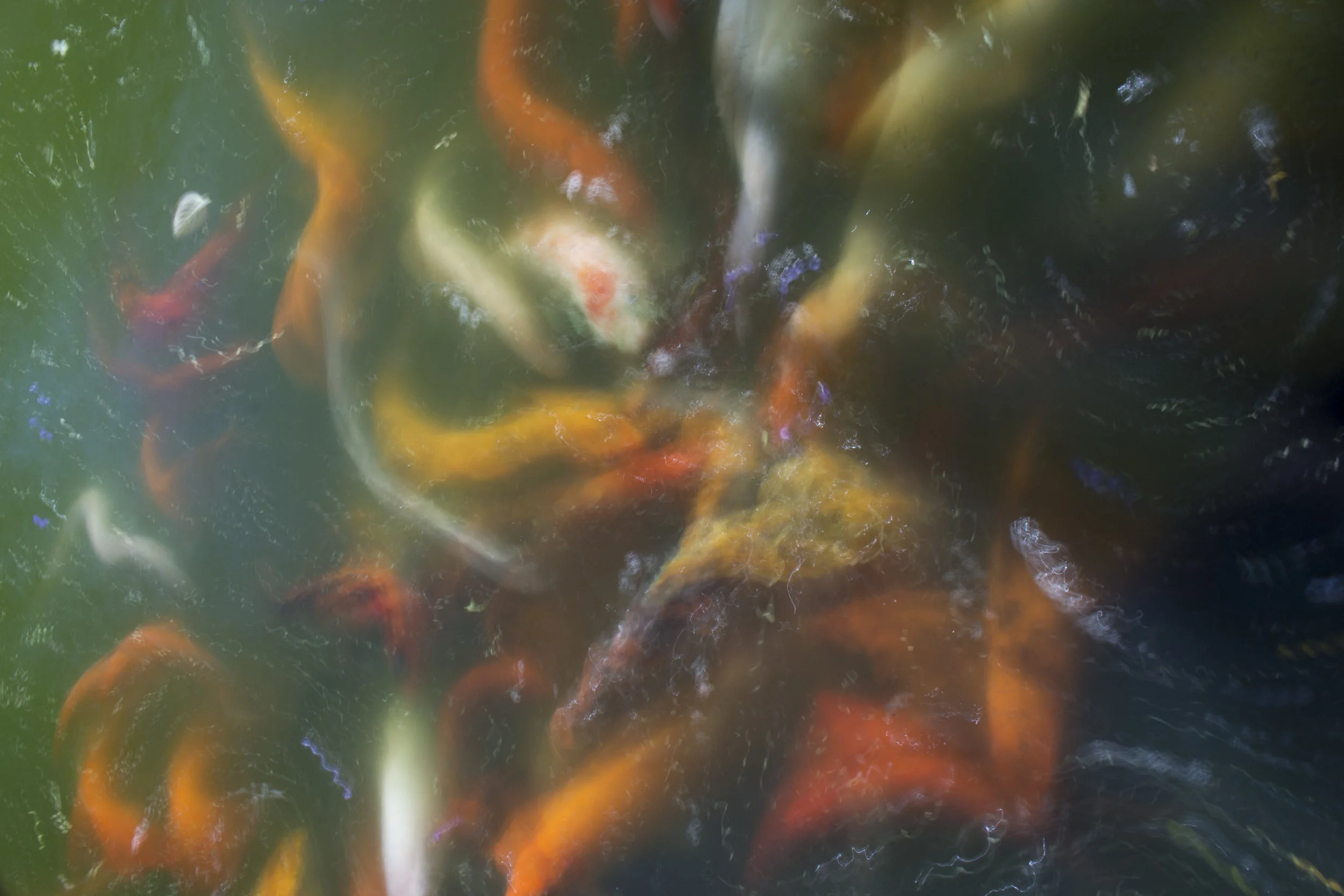 We All Live in a Different Time.jpg