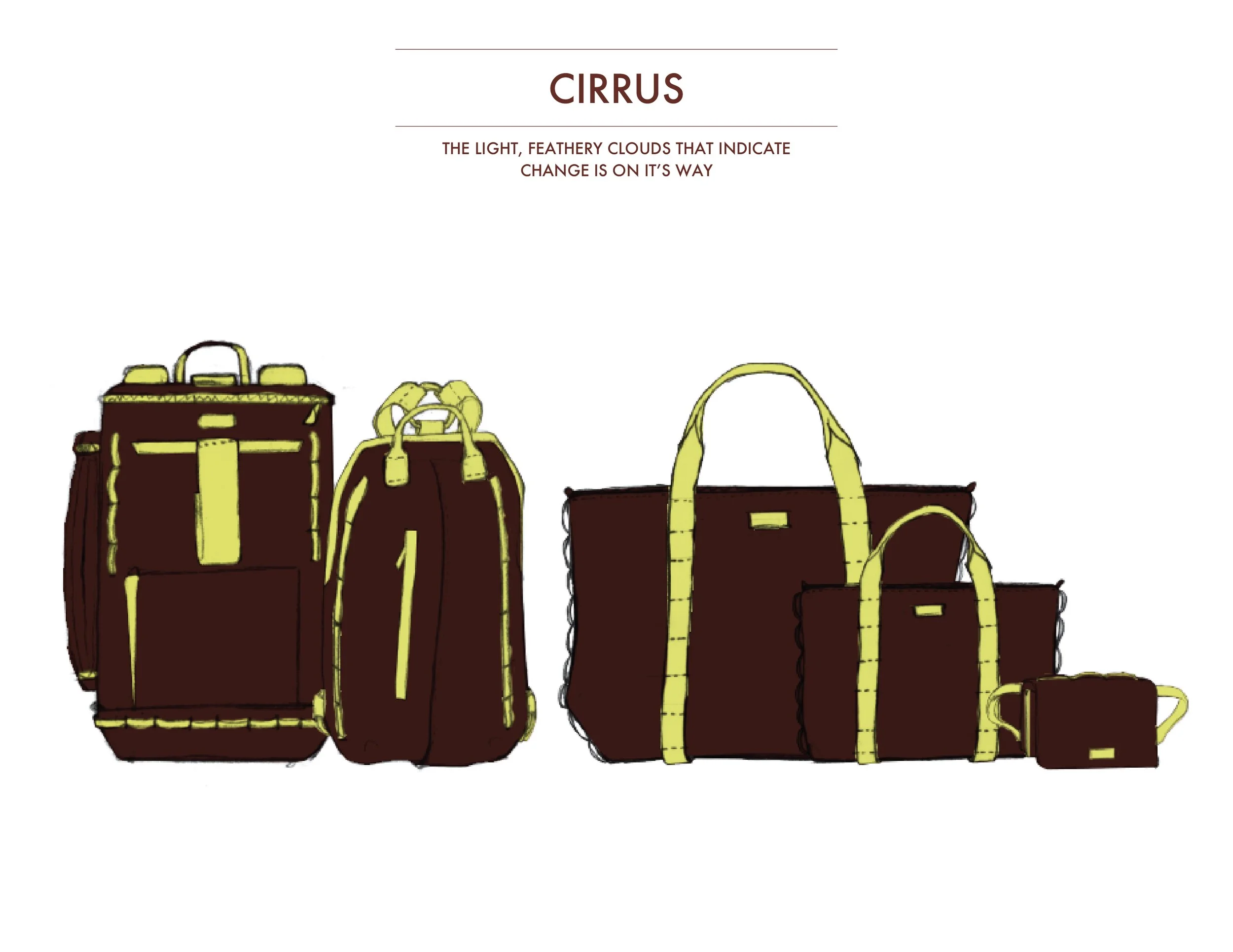 Tumi Interview Project_02.16.21_Grace Brese_Presentation-22.jpg