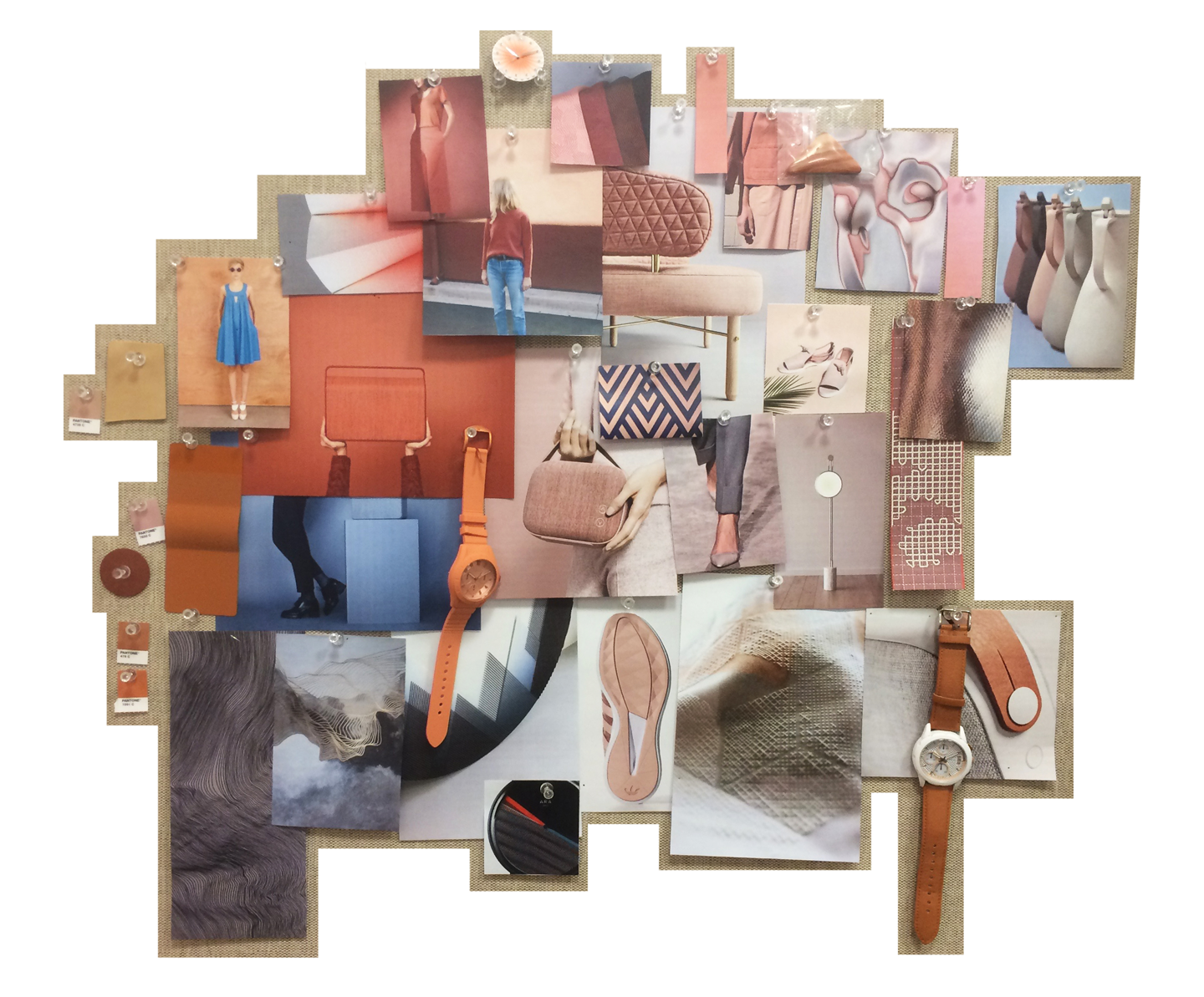 Fossil Inspo_006.png