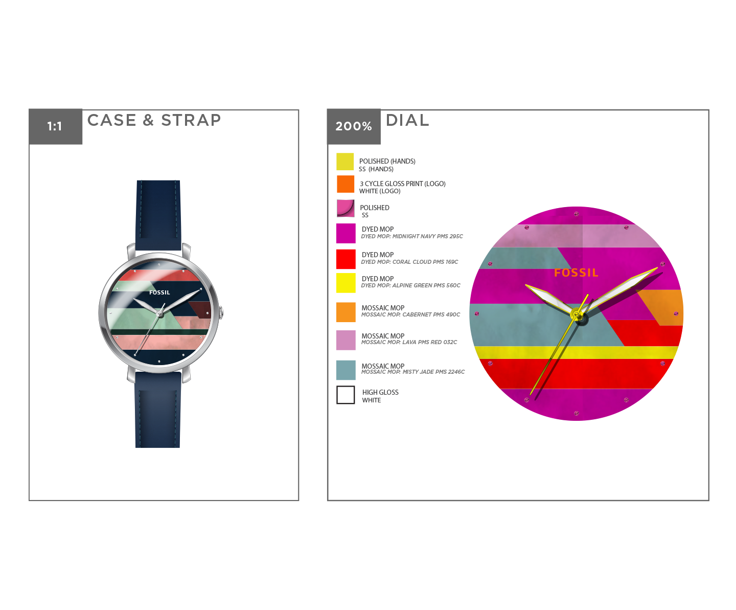 Fossil Design_002.png