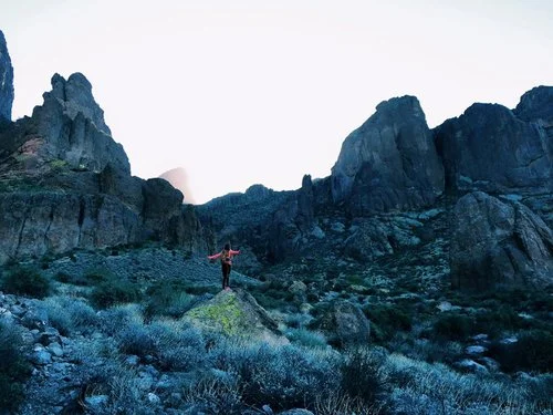Flat Iron Hike - Superstitions, AZ