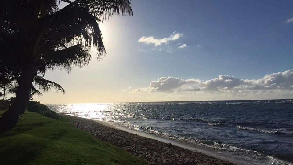 Haleiwa - North Shore