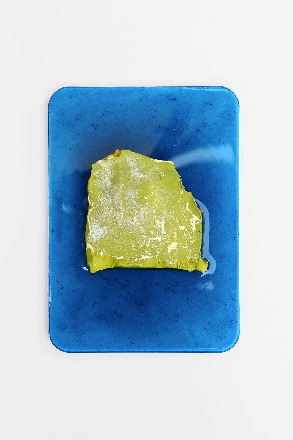 FR 13, 2016, wax, alginate, resin, pigment, 20 x 13 cm