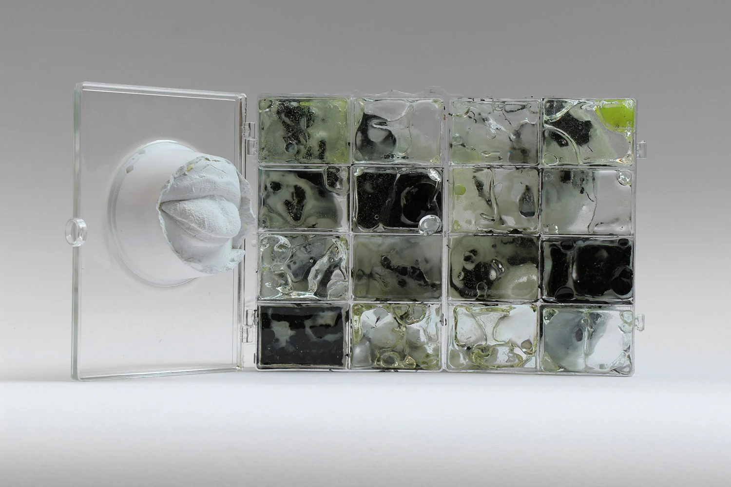 SCH 01, 2016, plastic, resin, magnetic slime, plaster, alginate, 28 x 15 cm
