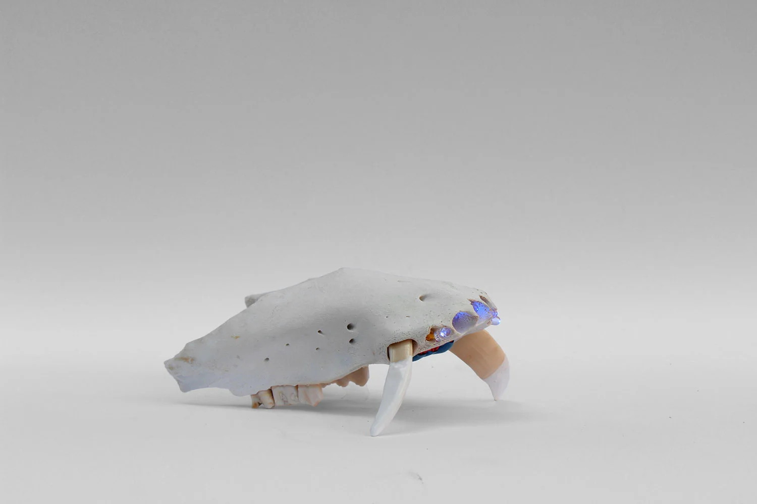 LH 03, 2016, bone, LED, tape, liquid rubber, cable, batteries, , 17 x 12 x 12 cm