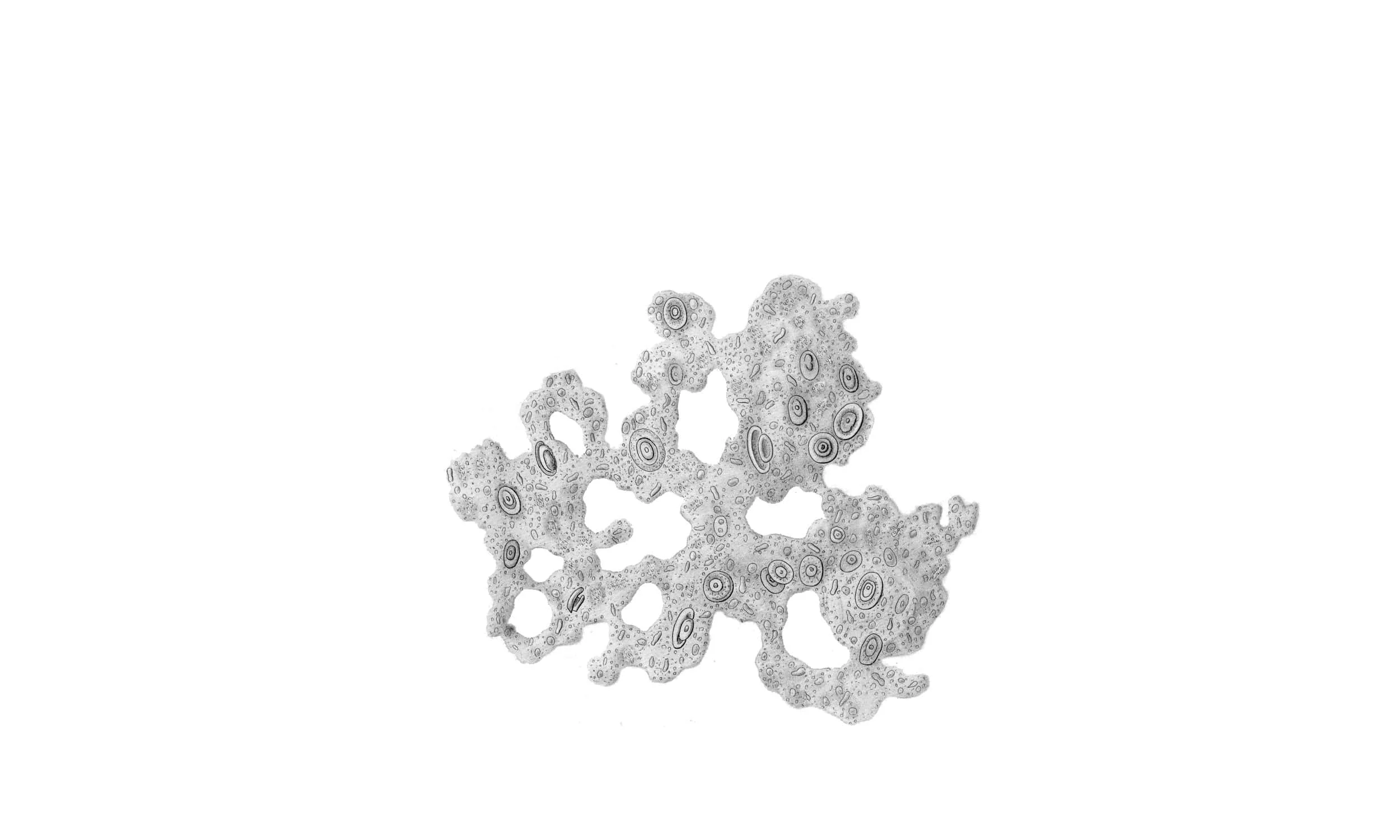 Impressum Copyright of photography: Wolfgang Günzel, Sabine Reitmaier, Katharina Schücke, 2017 Copyright of the art works : Sandra Havlicek, Tina Kohlmann, Katharina Schücke