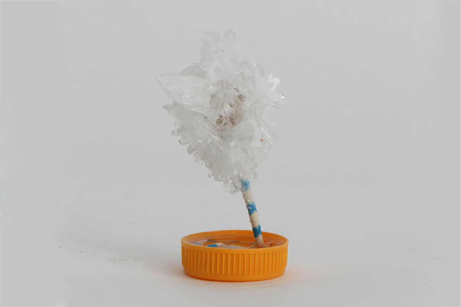 SP08, 2016, ADP, cotton thread, wire, resin, plastic lid, d: 6 cm x h: 10 cm