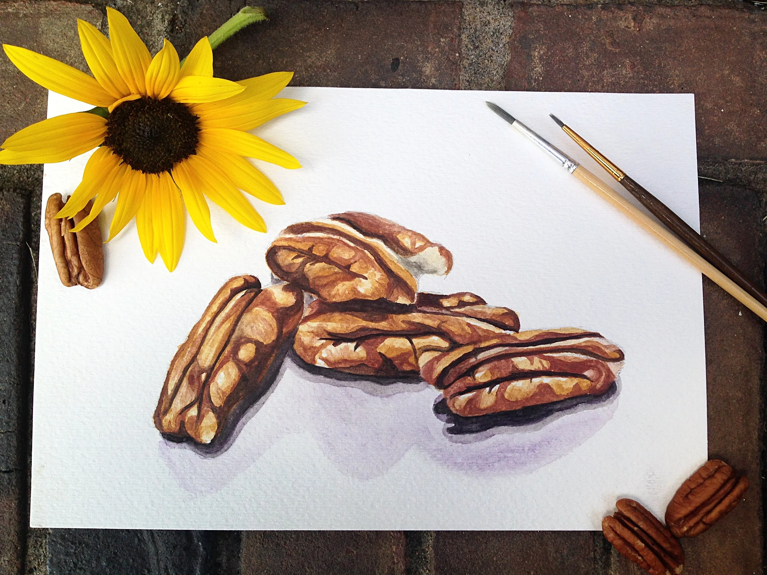  "Lovely Little Pecans"  4" x 6"  Watercolor  2017 