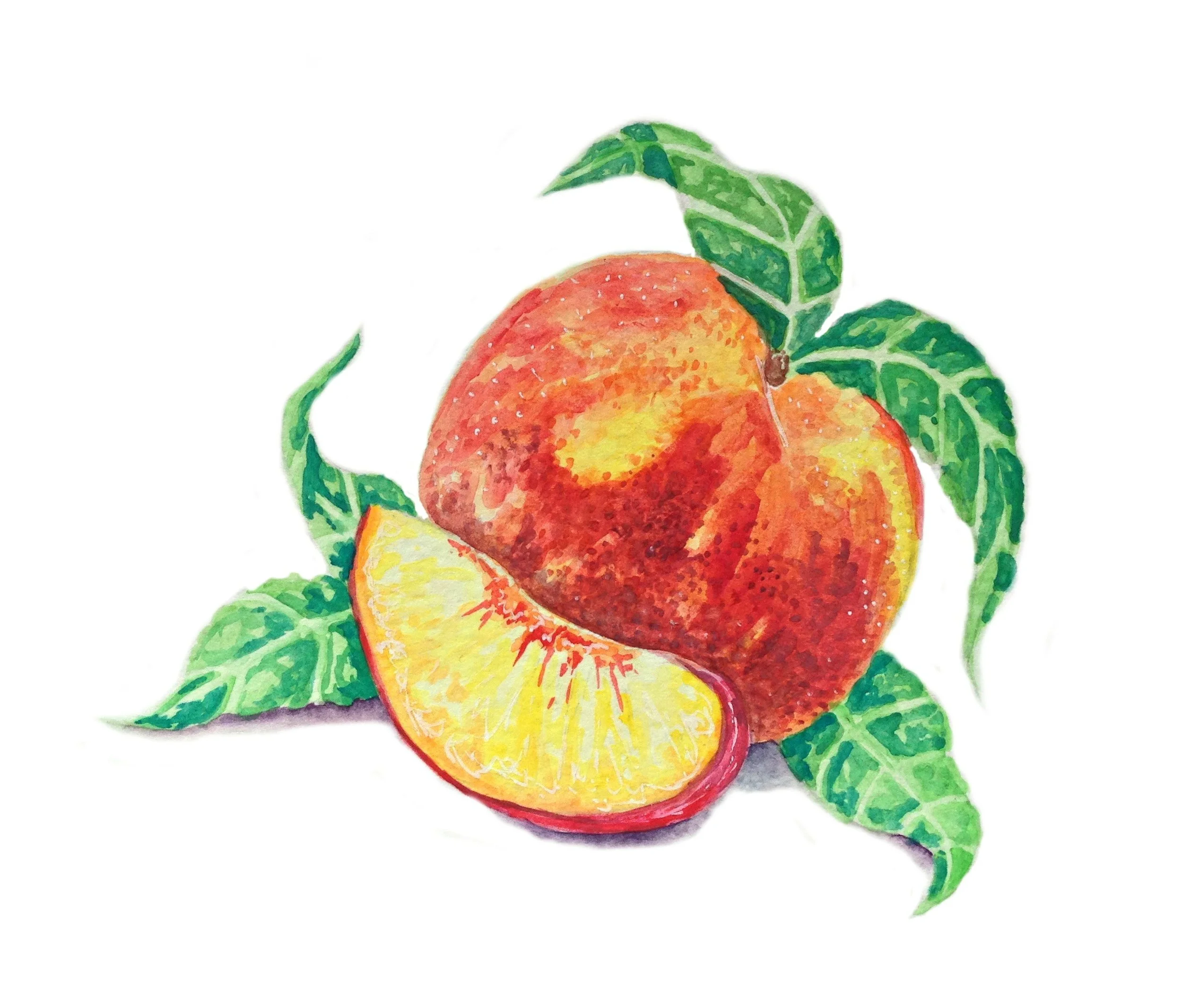"Feelin' Just Peachy" 4" x 6" Watercolor 2018