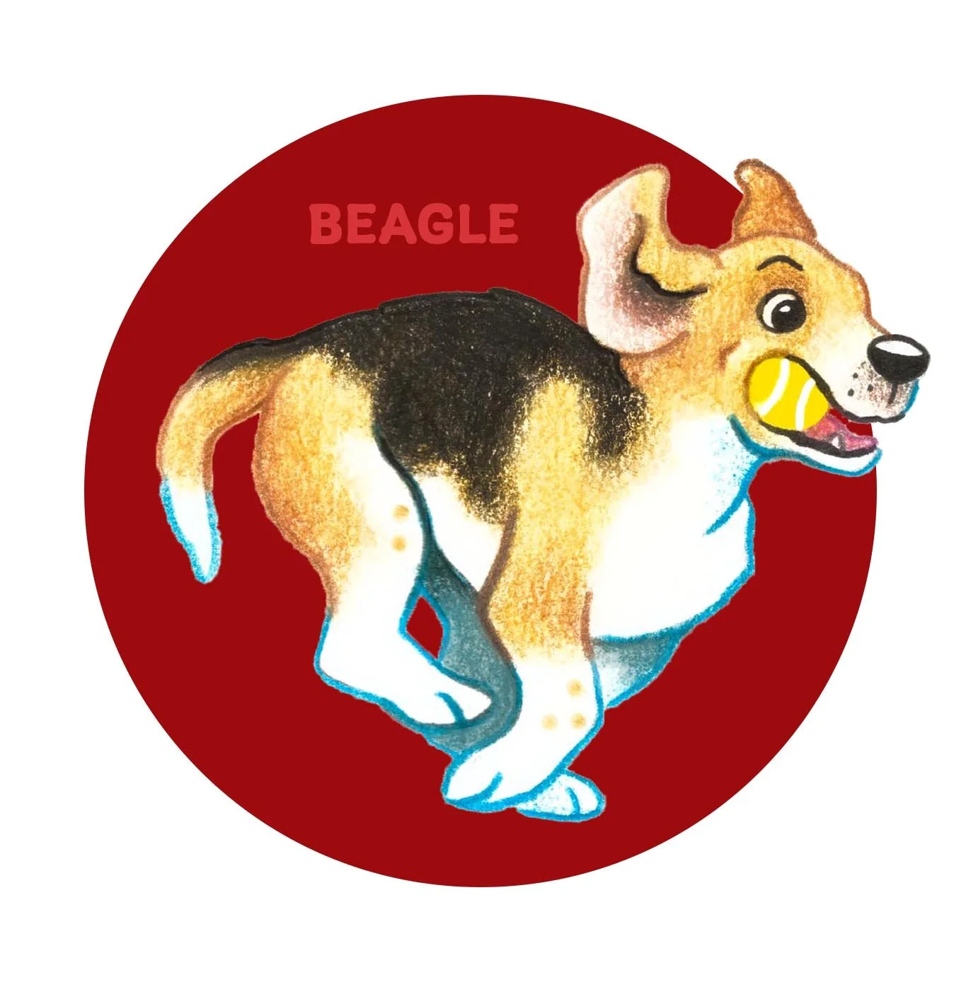 Beagle 2.jpg