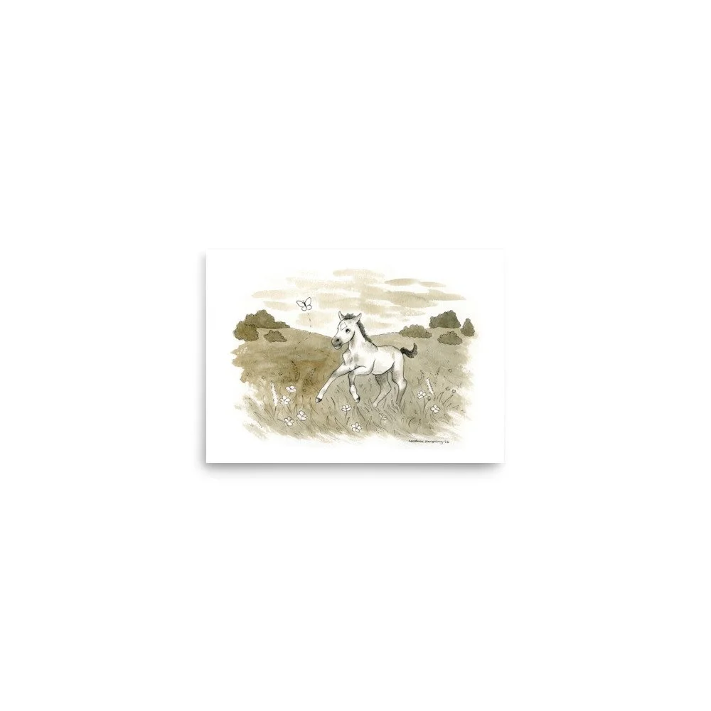 enhanced-matte-paper-poster-(in)-5x7-front-6ad7cc50983e8.jpg