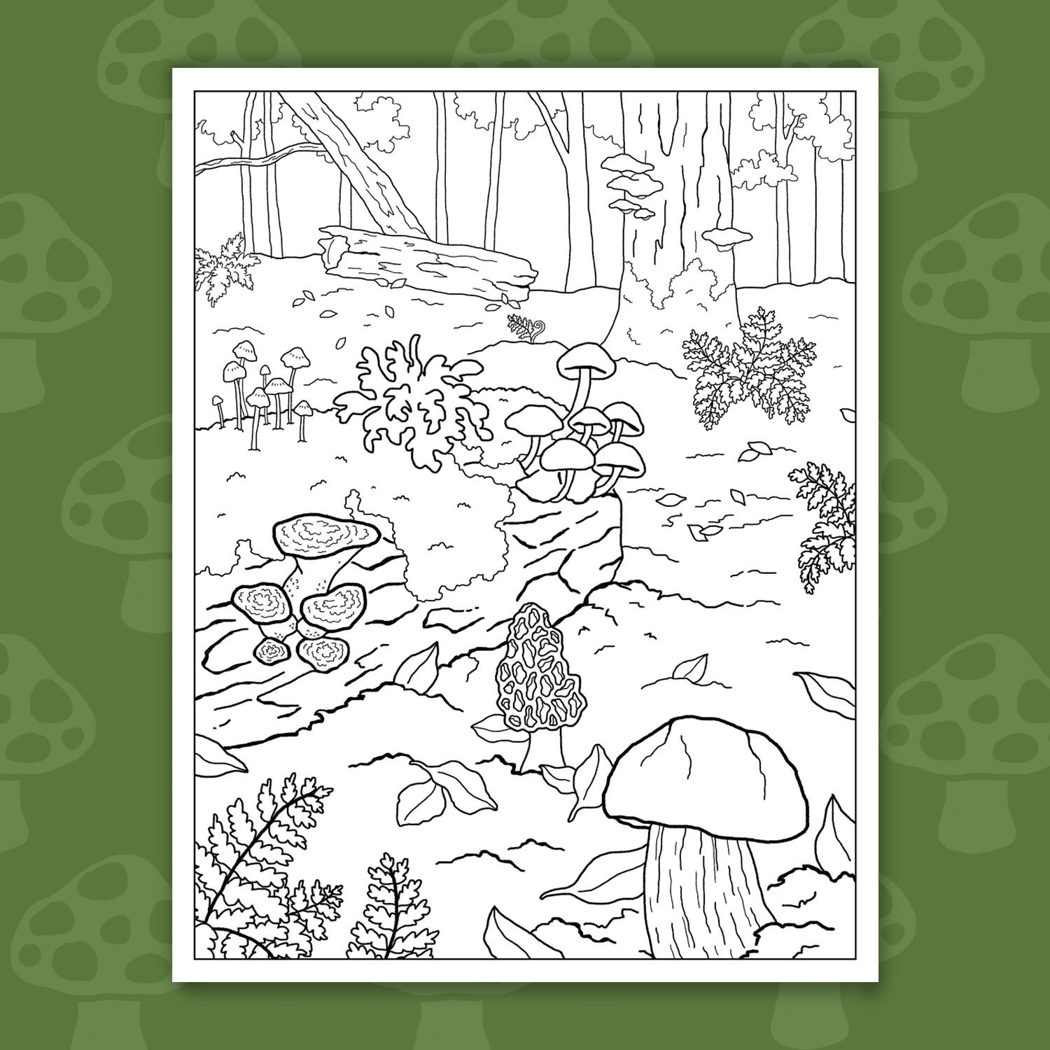 Forest Floor BKG.jpg