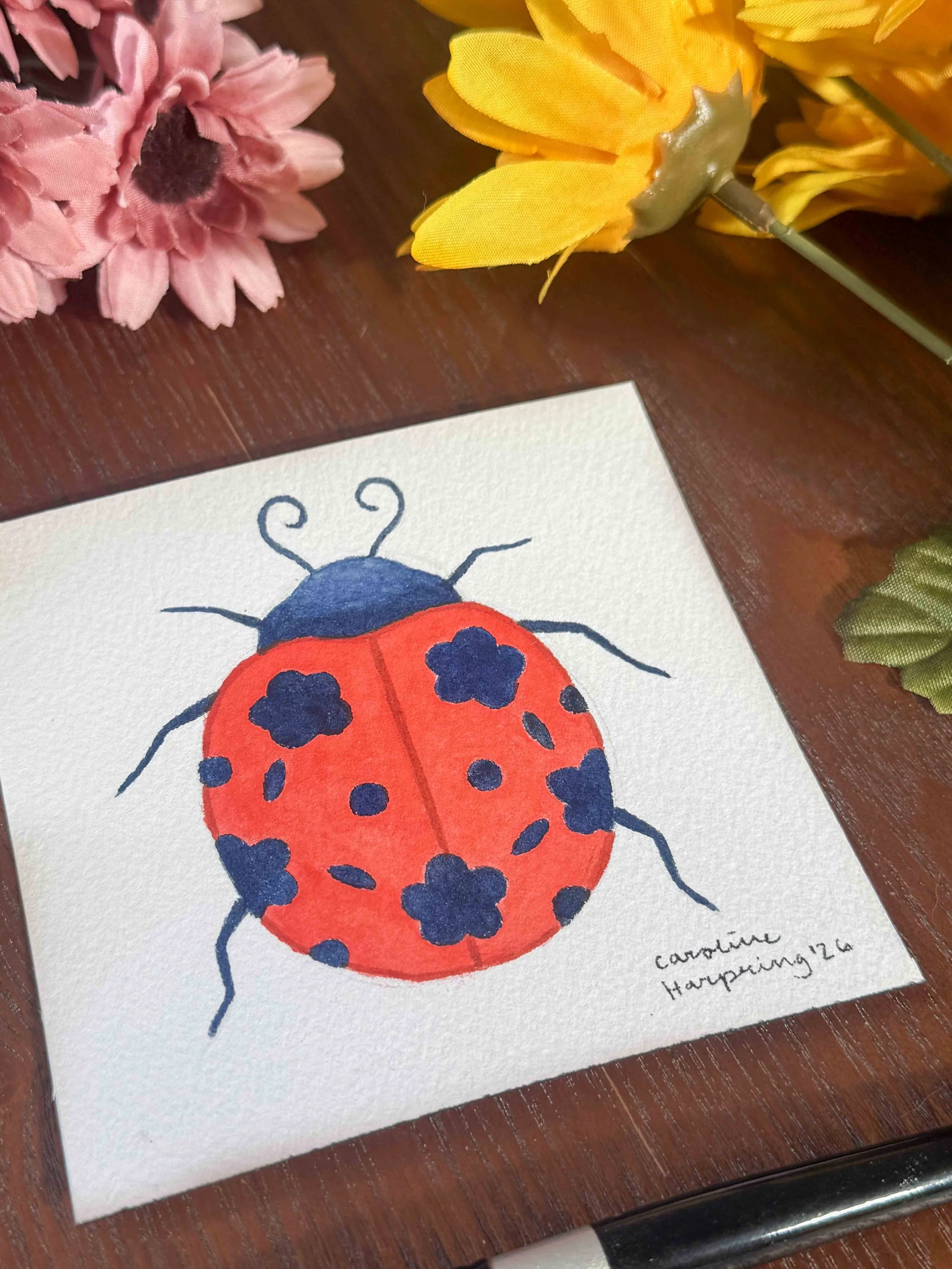 Ladybug Photo 2.jpg