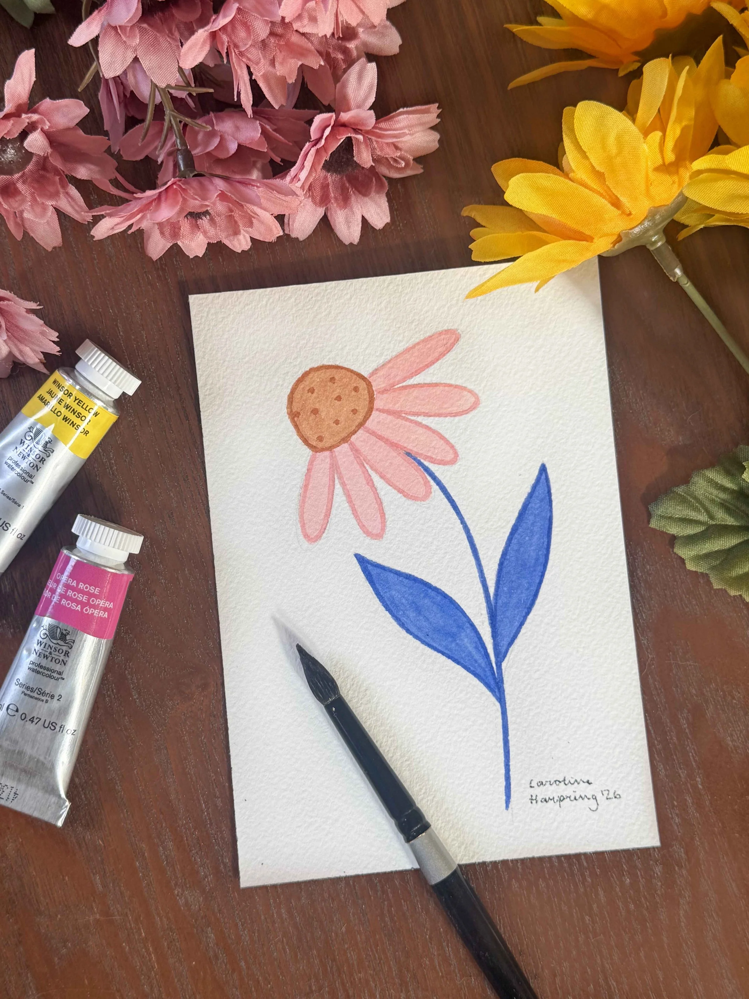 Coneflower Photo.jpg